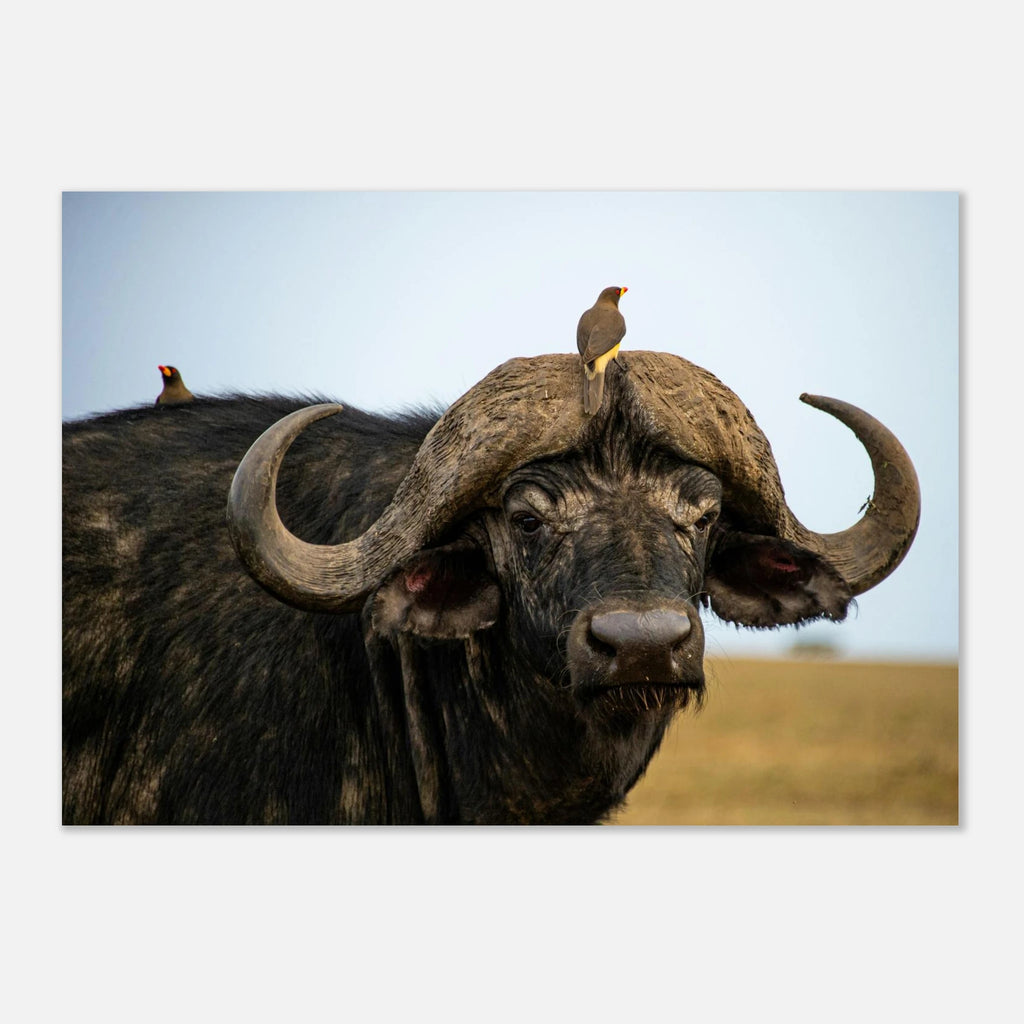 01e050d7-e9db-43e7-b169-27f6e02c1534