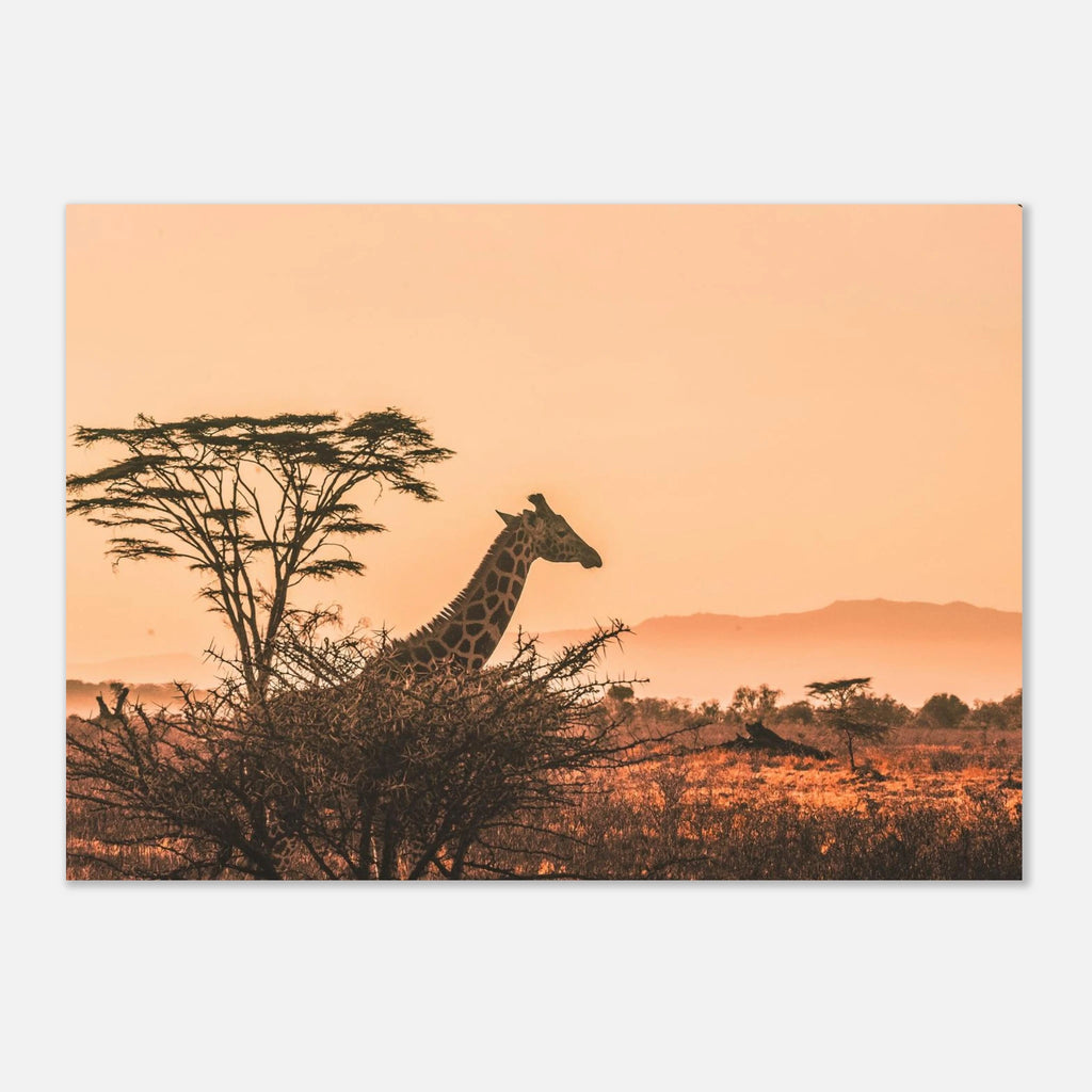 023f0a6a-d1dc-4a17-83e9-56b4547eec3a