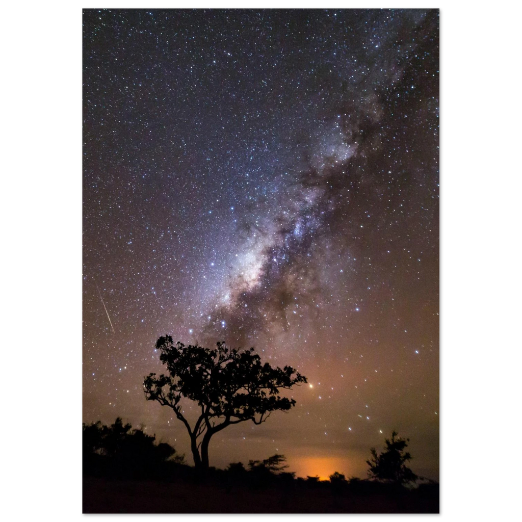 059c189e-b038-4002-b56b-2db5b0cbdc72