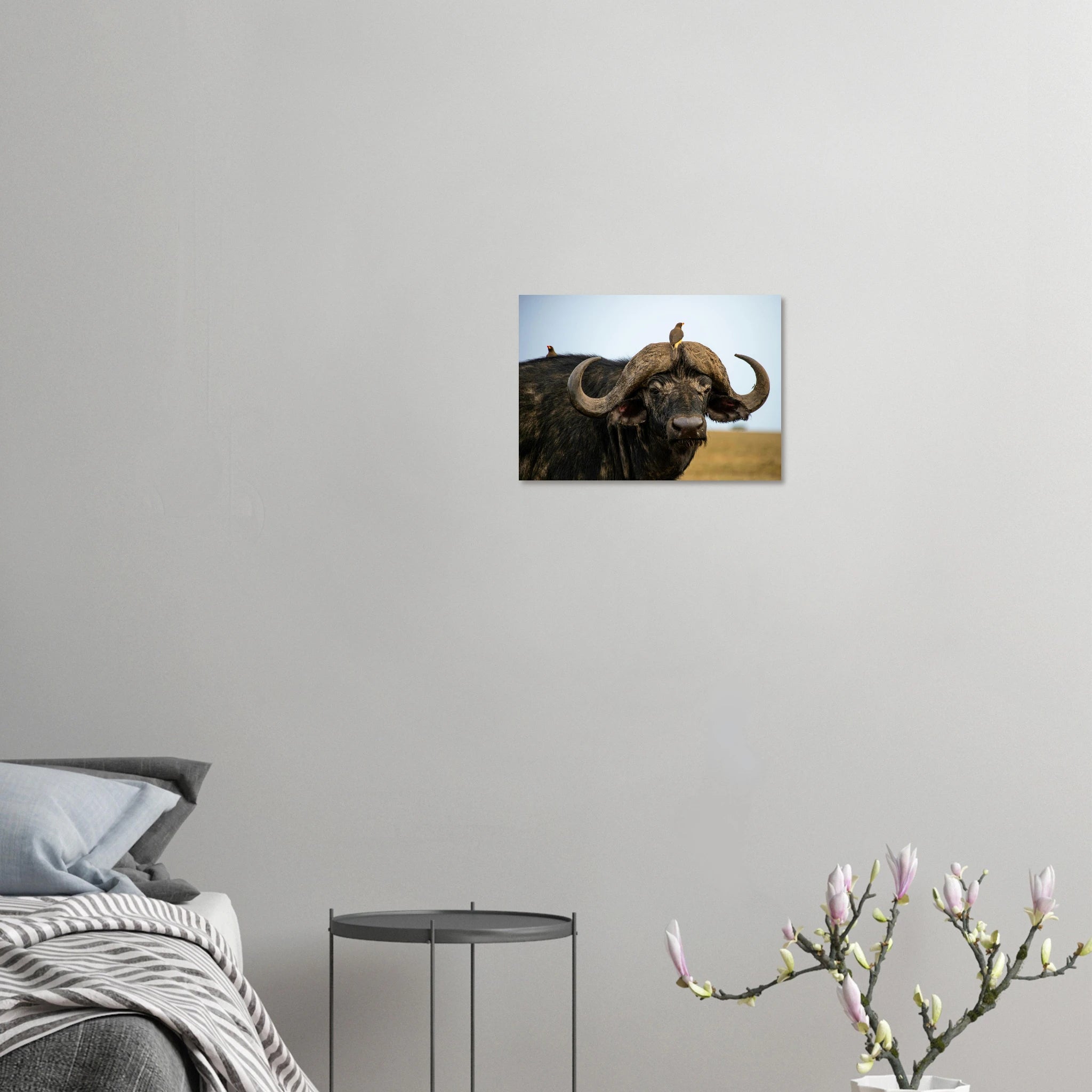 05cf4af6-bdc2-4649-adba-254f743f692d