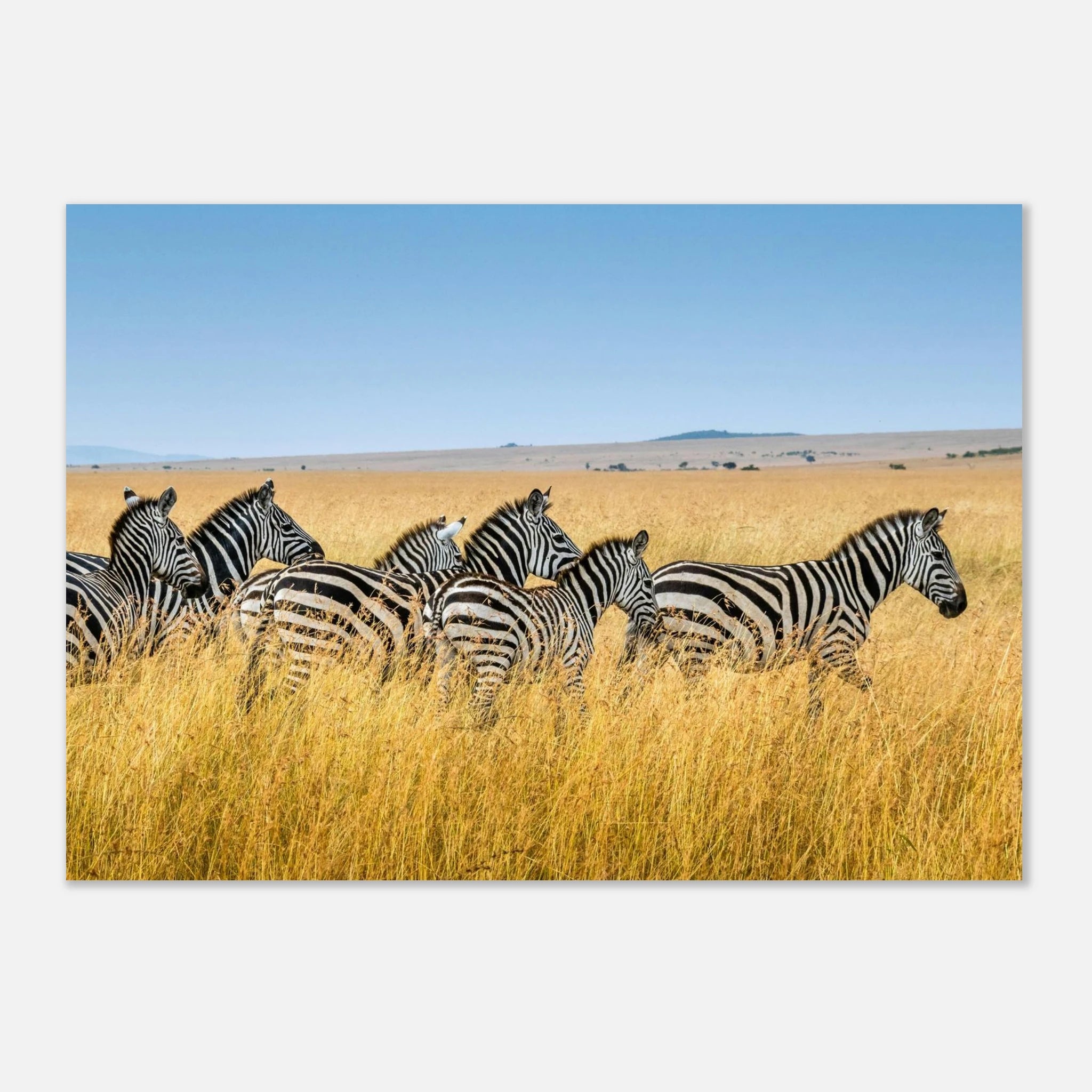 0a21dcc0-9f54-401d-b1b3-12a397cdb2af