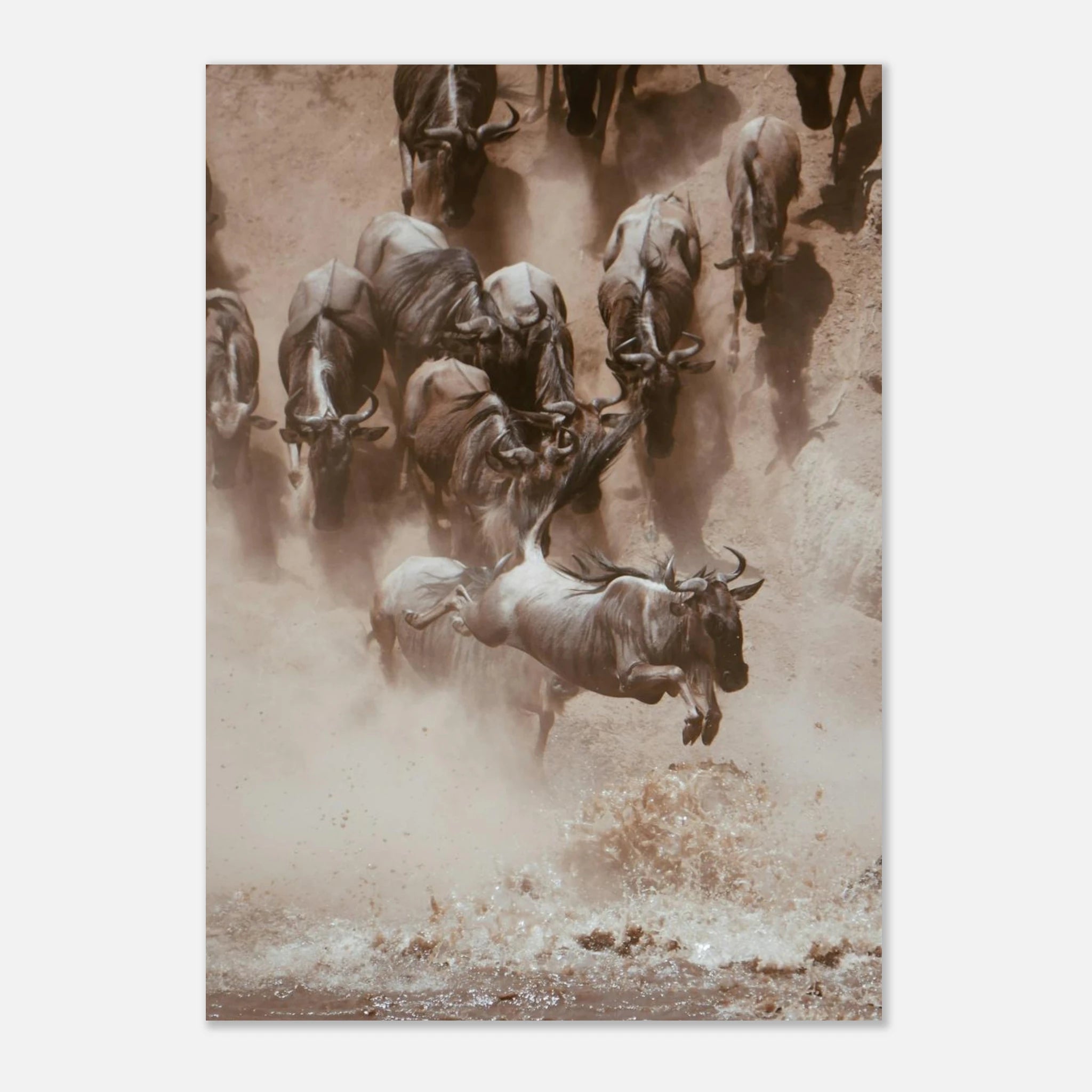 1182e884-5422-4483-af2c-15bb13c62a12