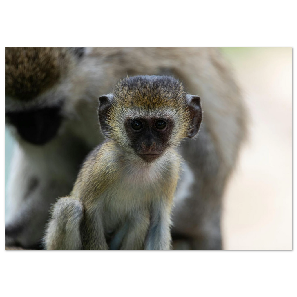 14b12c1e-7c81-4ebb-b638-a7af94a1845f