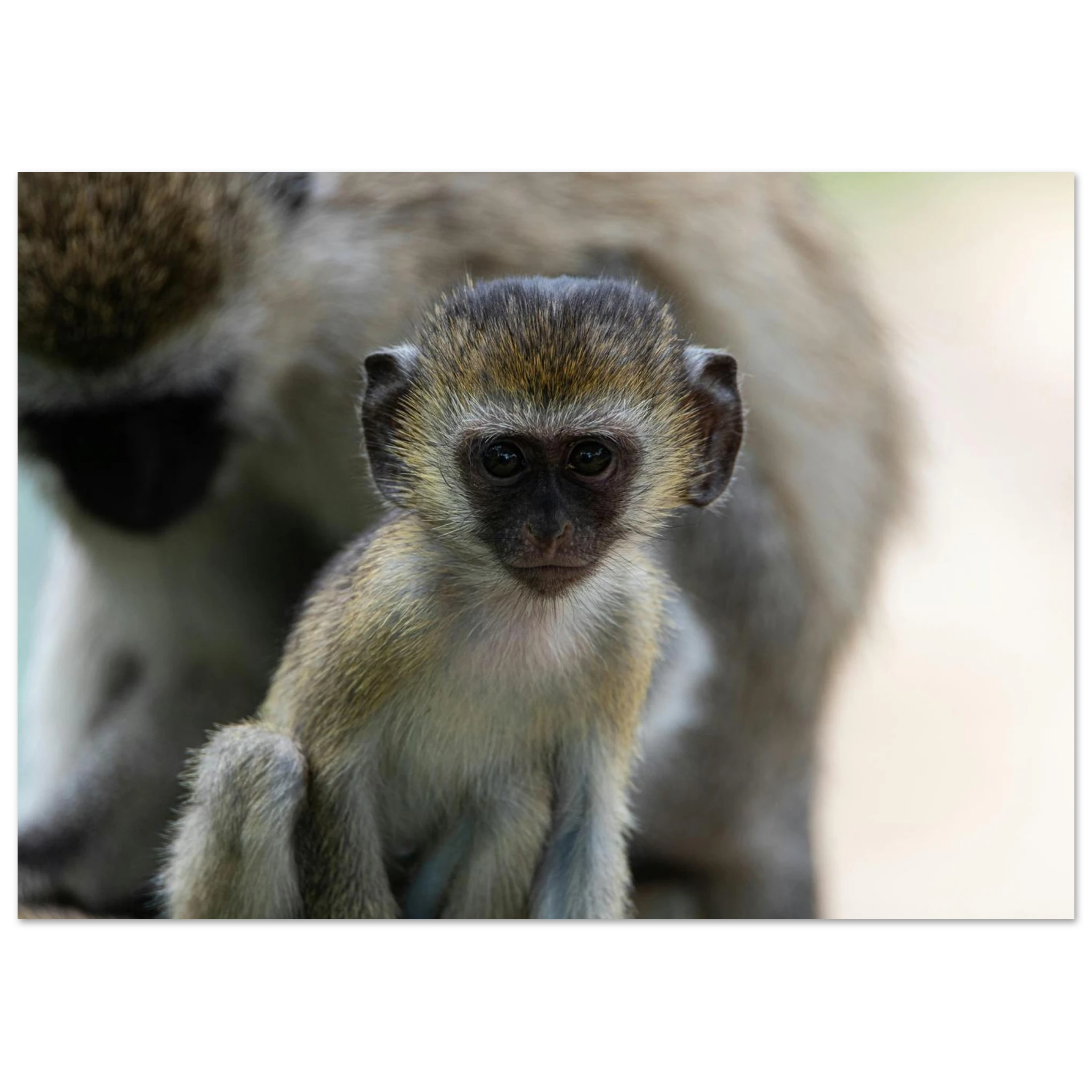 14b12c1e-7c81-4ebb-b638-a7af94a1845f