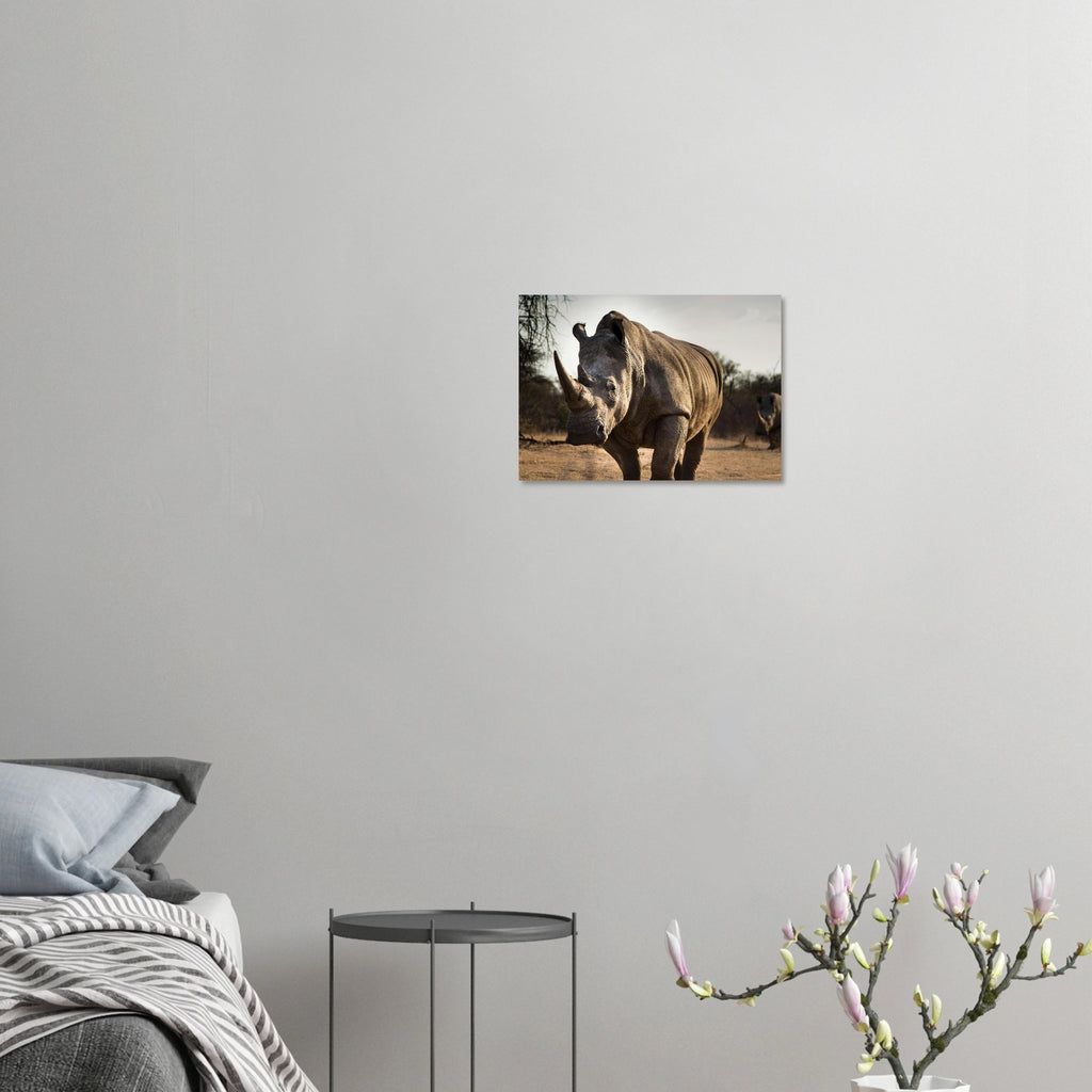 1739eaa2-43c5-40e0-9dfd-7a19df340f04