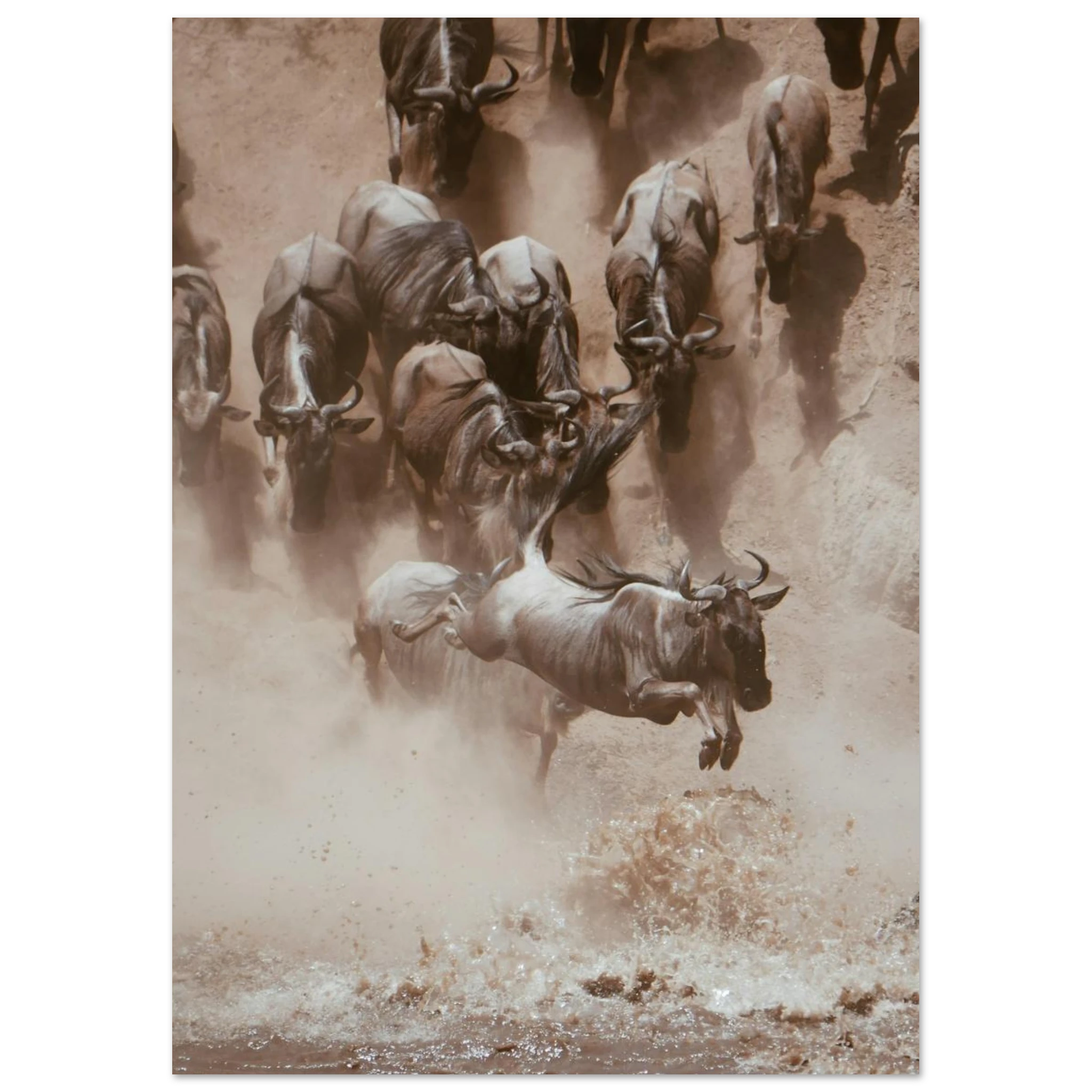 18d0a2fb-84dd-41f1-bcd2-1d2ddf060cfb