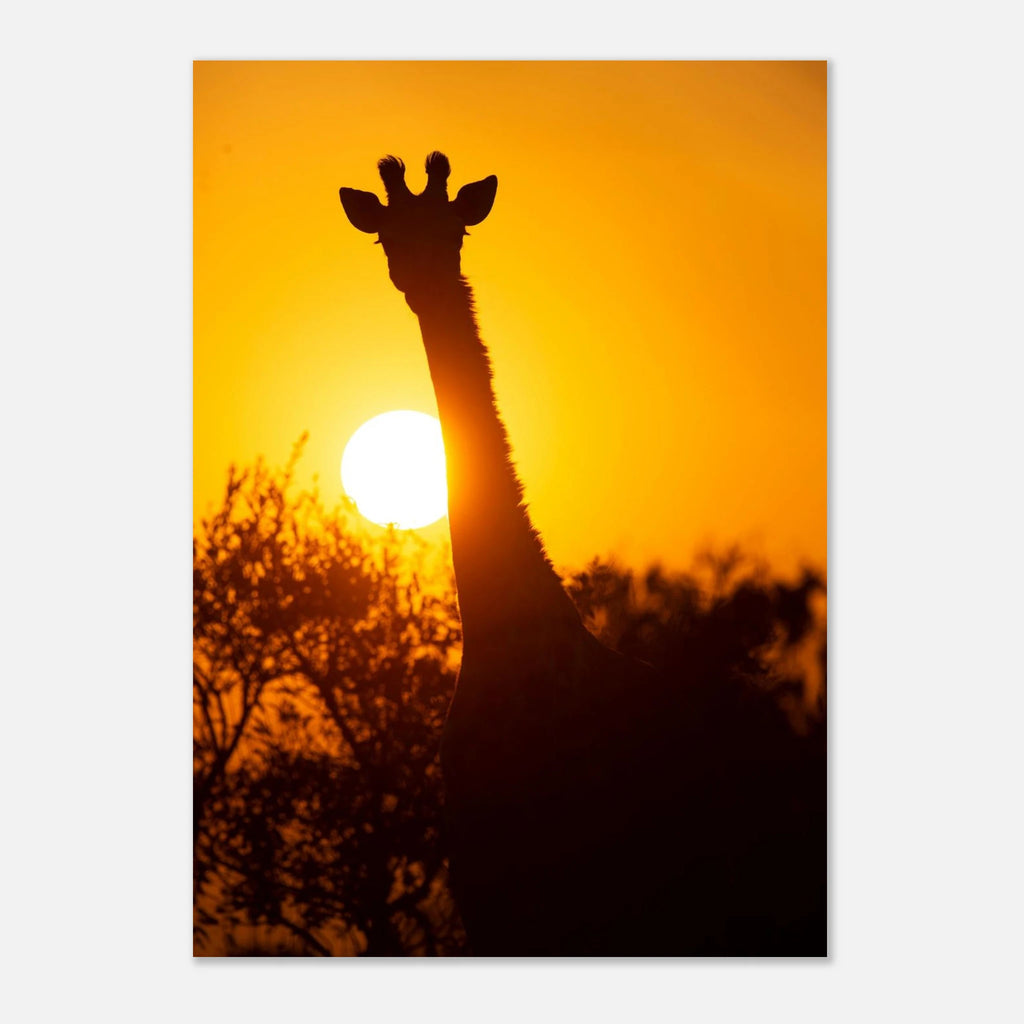 19923adf-9d4a-4376-b6f2-752db13f9045