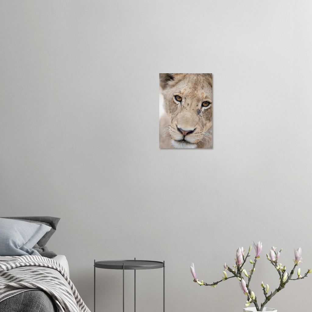 1f343365-7b14-4926-8d08-e2f44edf018f