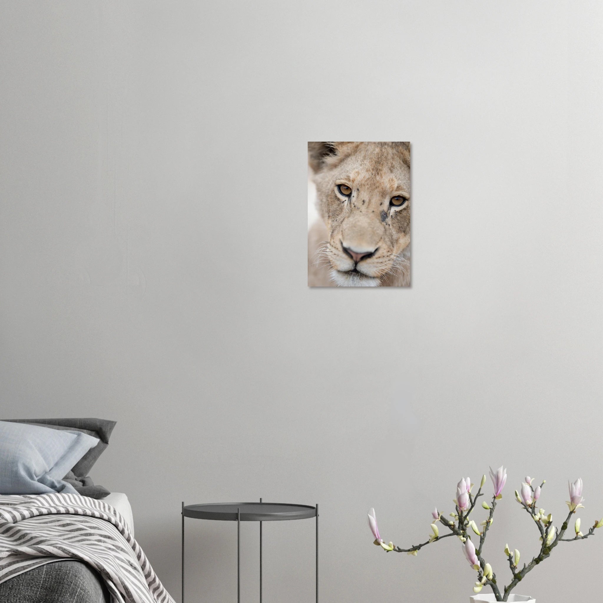 1f343365-7b14-4926-8d08-e2f44edf018f