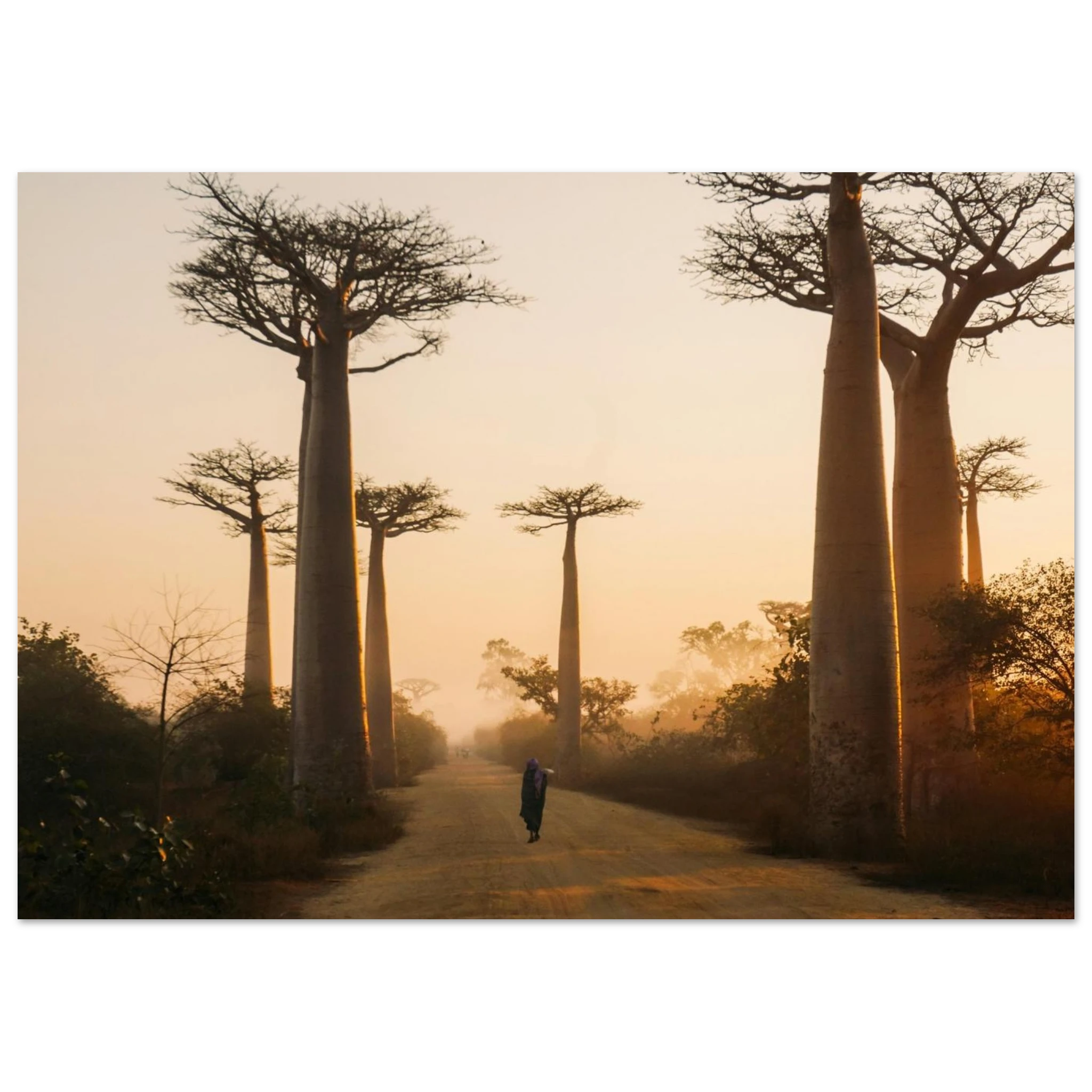 215e1397-aa46-4689-9e84-0a7074f04c26