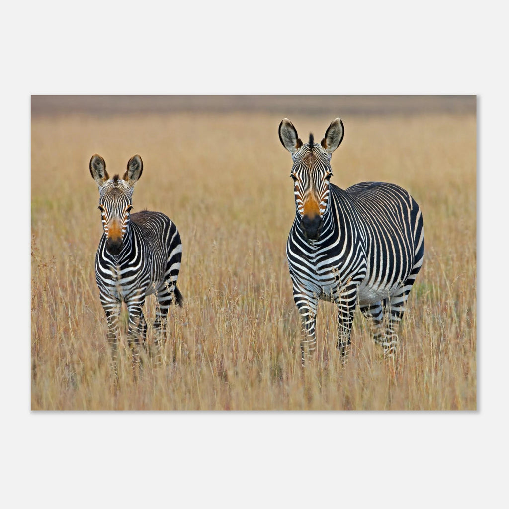 224b99f5-4fd8-4a00-9844-afe8f1c8d6d7