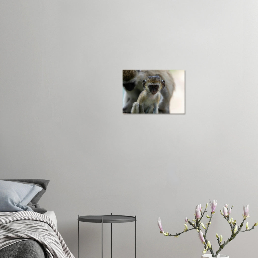 43ac7b19-d9fe-4c6e-87fb-539807660a92