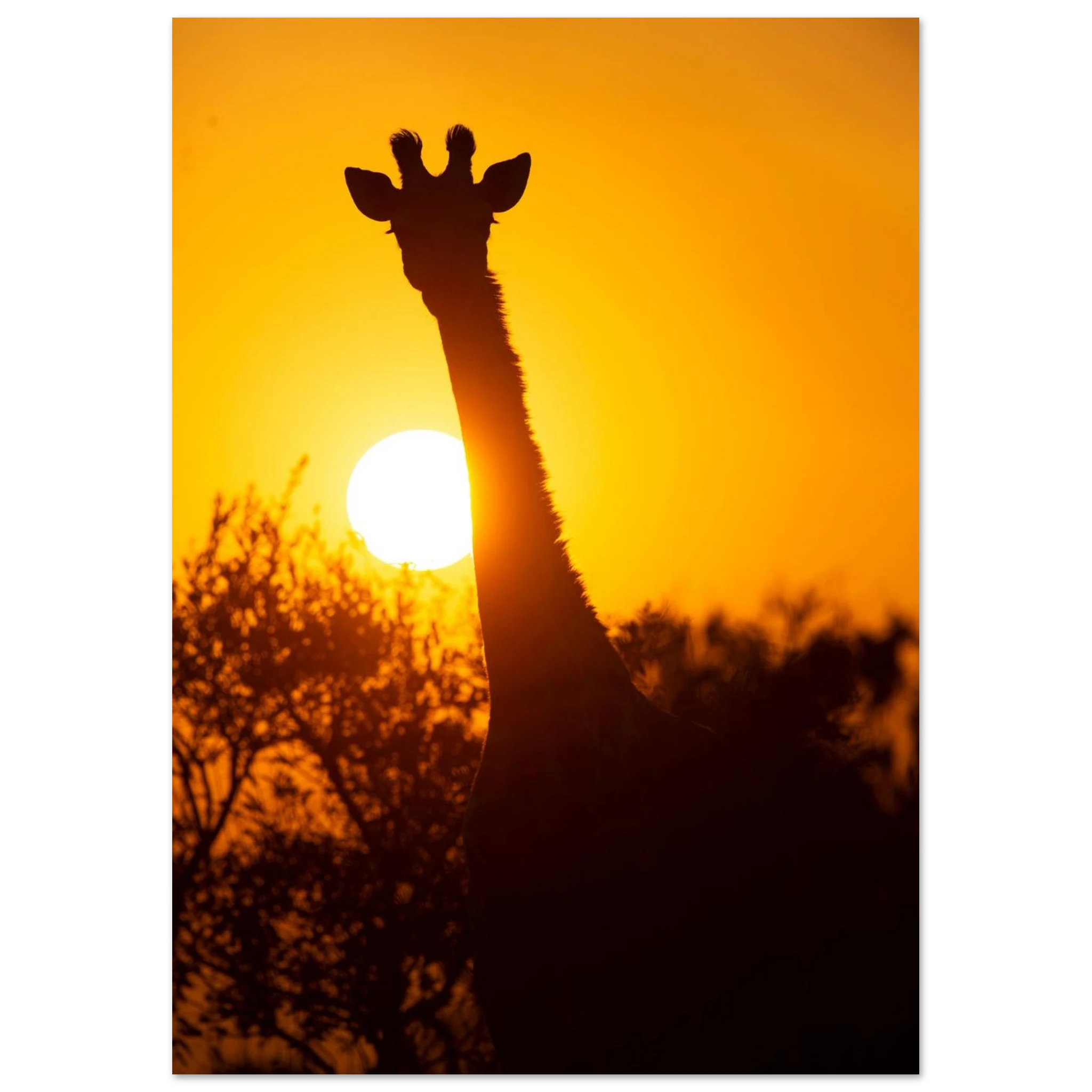 45fec00b-32c4-41c7-a7d8-090e88196d8b