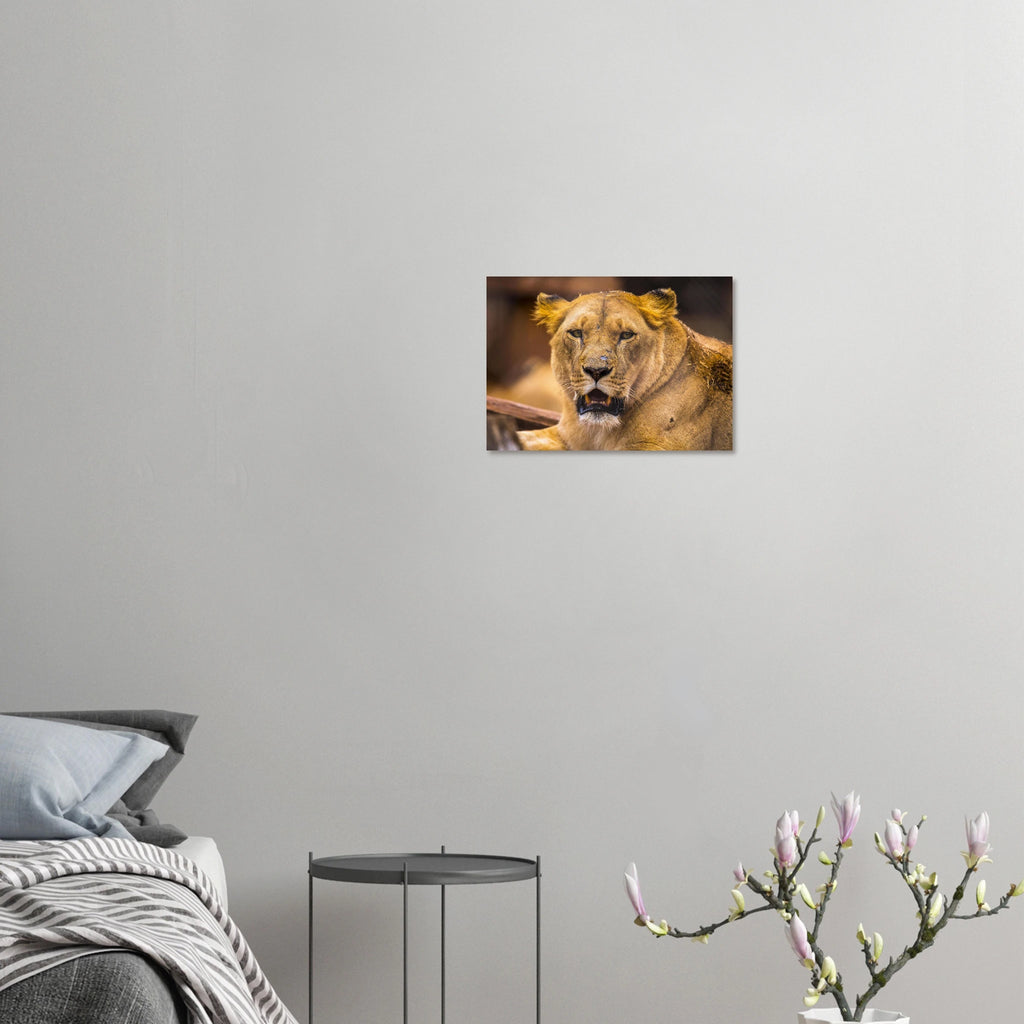 4630b4fd-4d89-49e3-8aed-0fdc616ba9cd