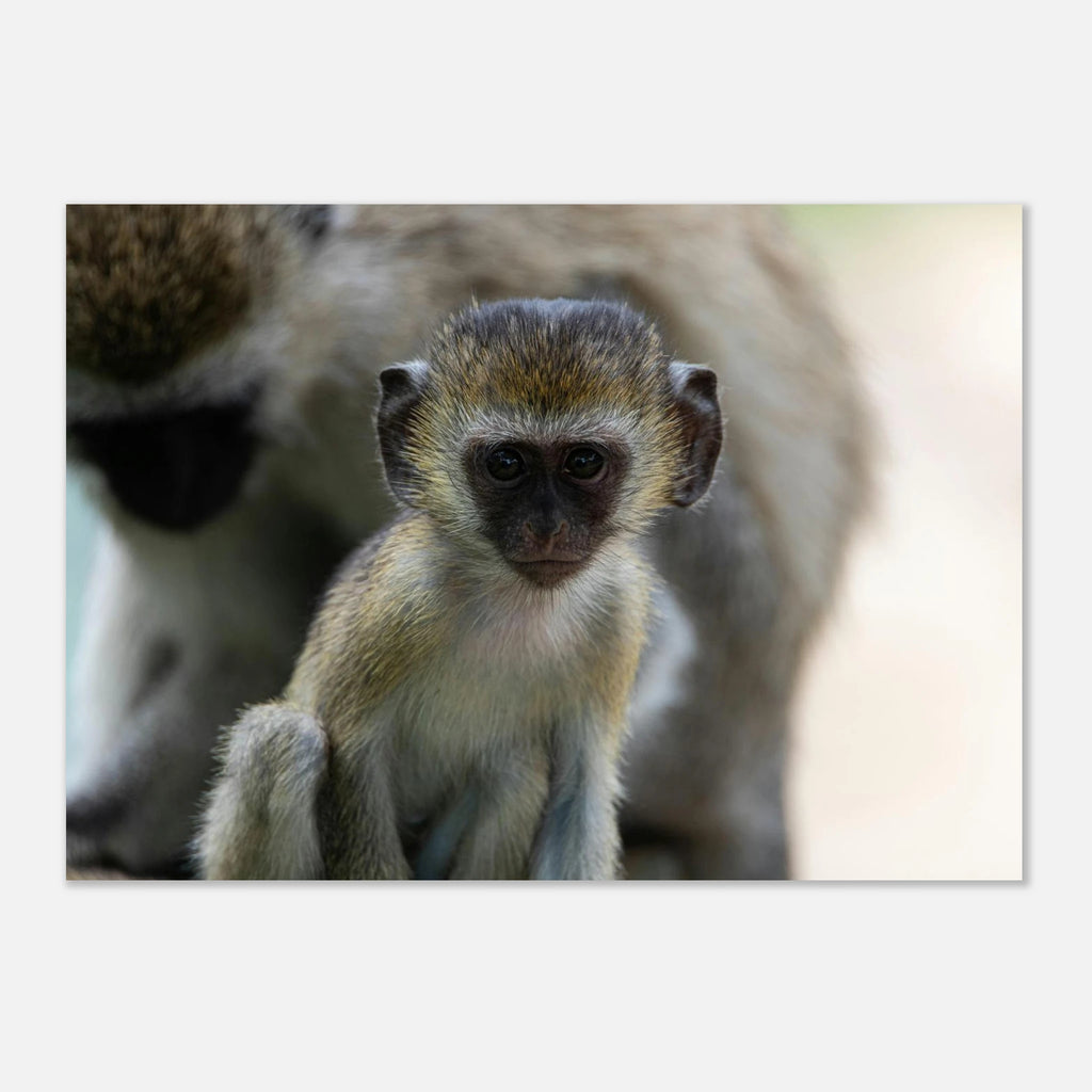 4827be32-4234-4179-aa47-d2f3bd8cafad