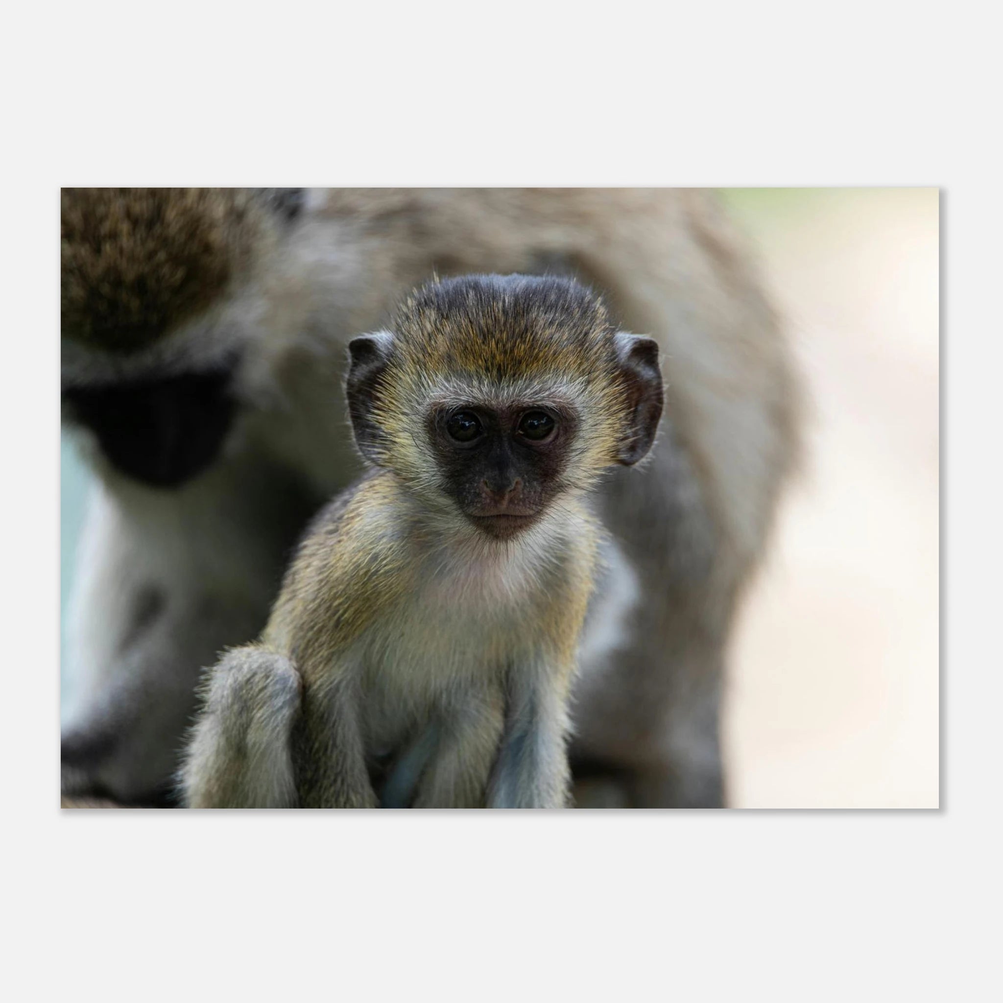 4827be32-4234-4179-aa47-d2f3bd8cafad