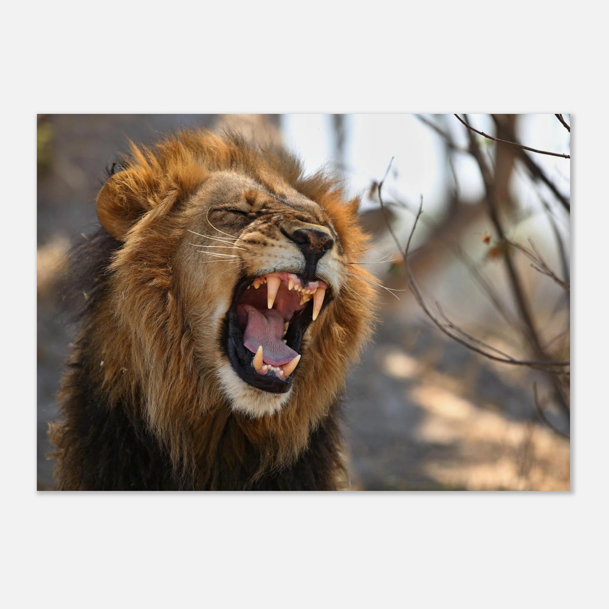 492cf943-01fa-45c0-9f15-90a79915029c