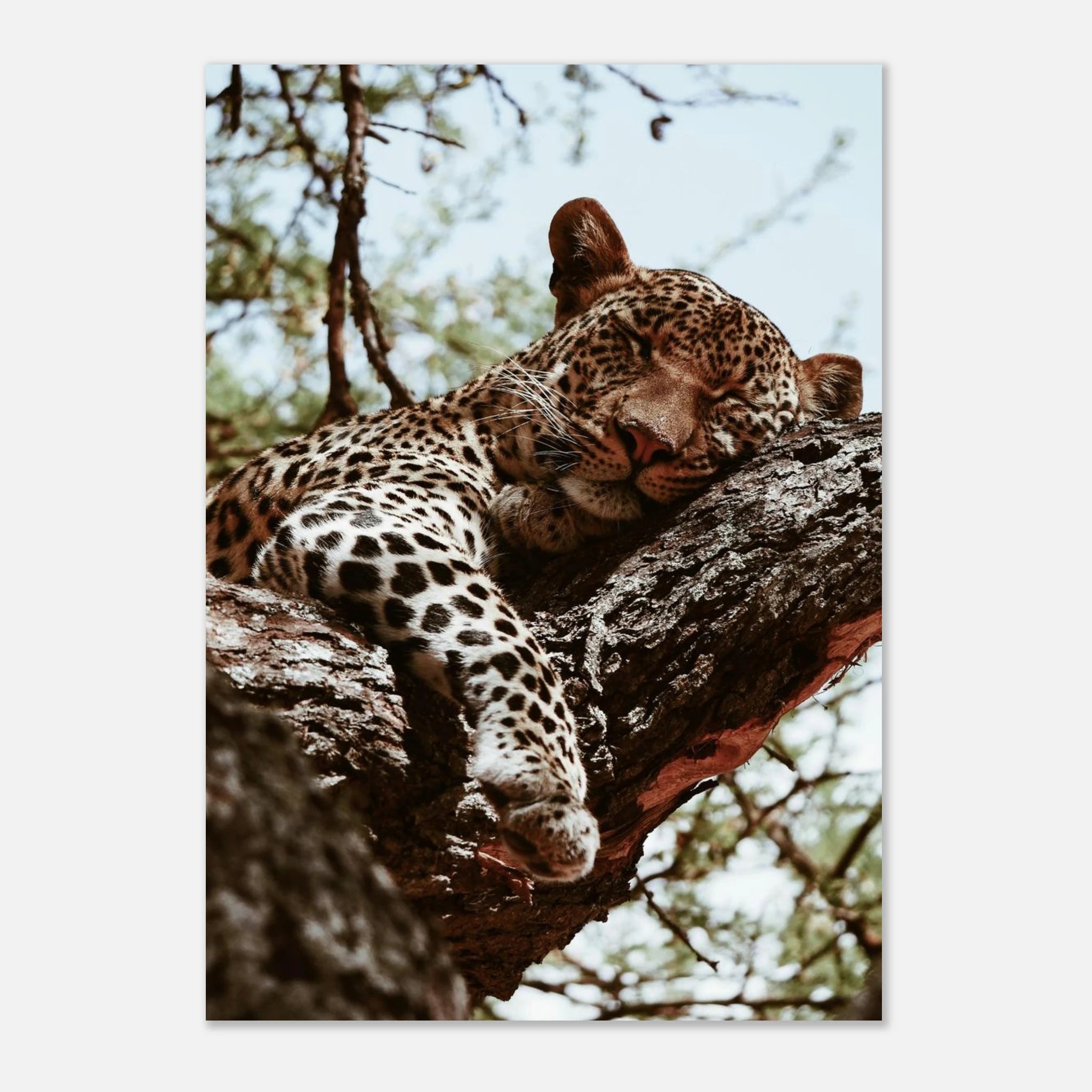 4aa4a0ea-31e3-48d2-bd64-0fa4c40e1877