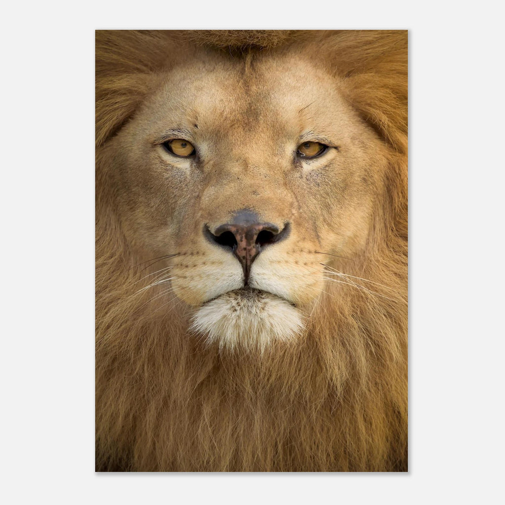 4b458630-27a2-4a54-a64e-c3dc061ef1f1