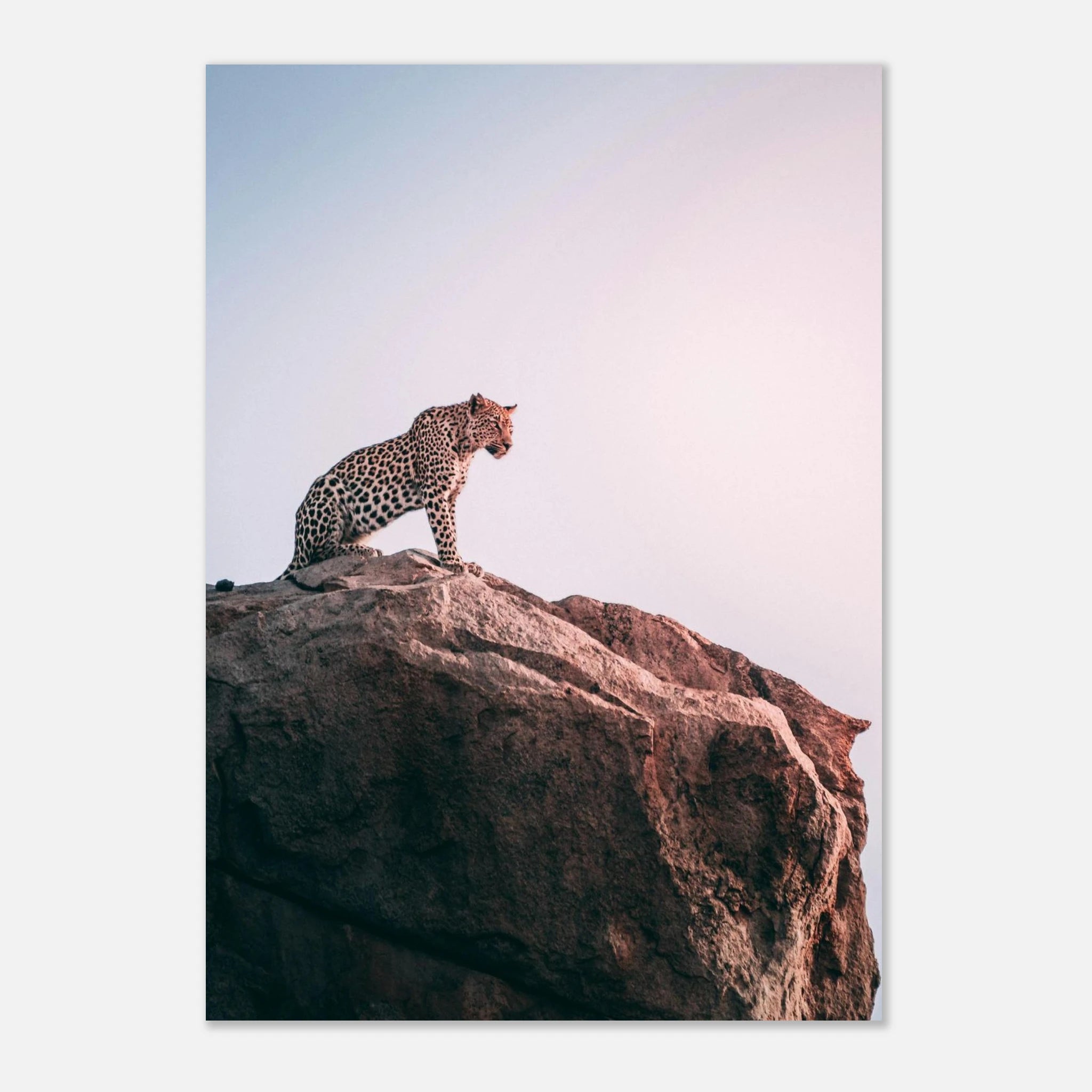 4cee1035-eabc-4b4f-a3c3-3b2e8ab43187