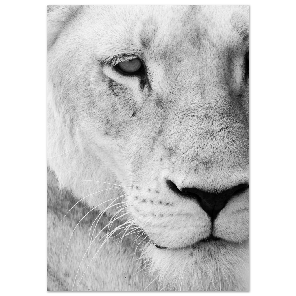 4d396b98-118a-469a-8497-40dbe6dc6f85