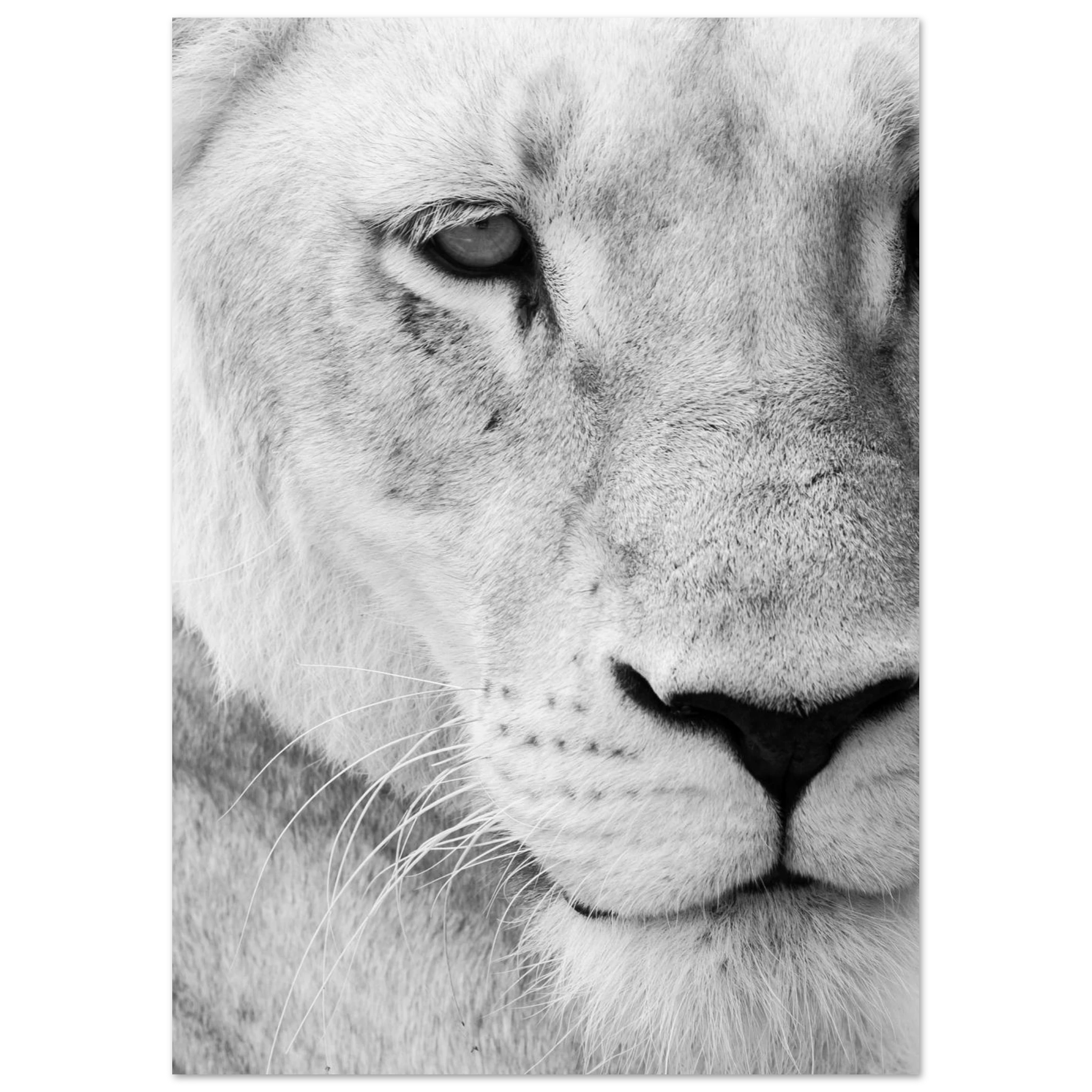 4d396b98-118a-469a-8497-40dbe6dc6f85