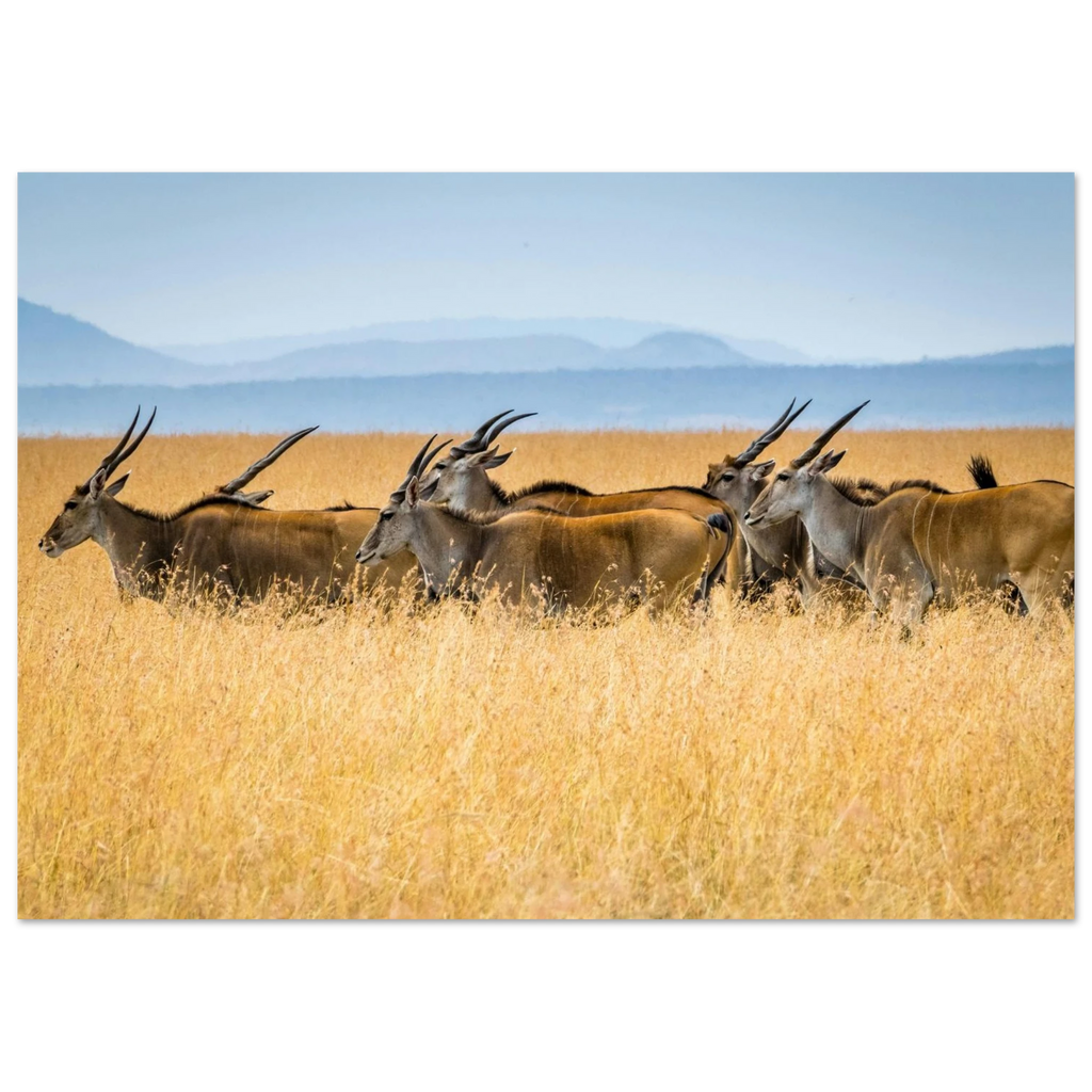 4e7d508c-8f46-4b77-be86-57ba010177b3