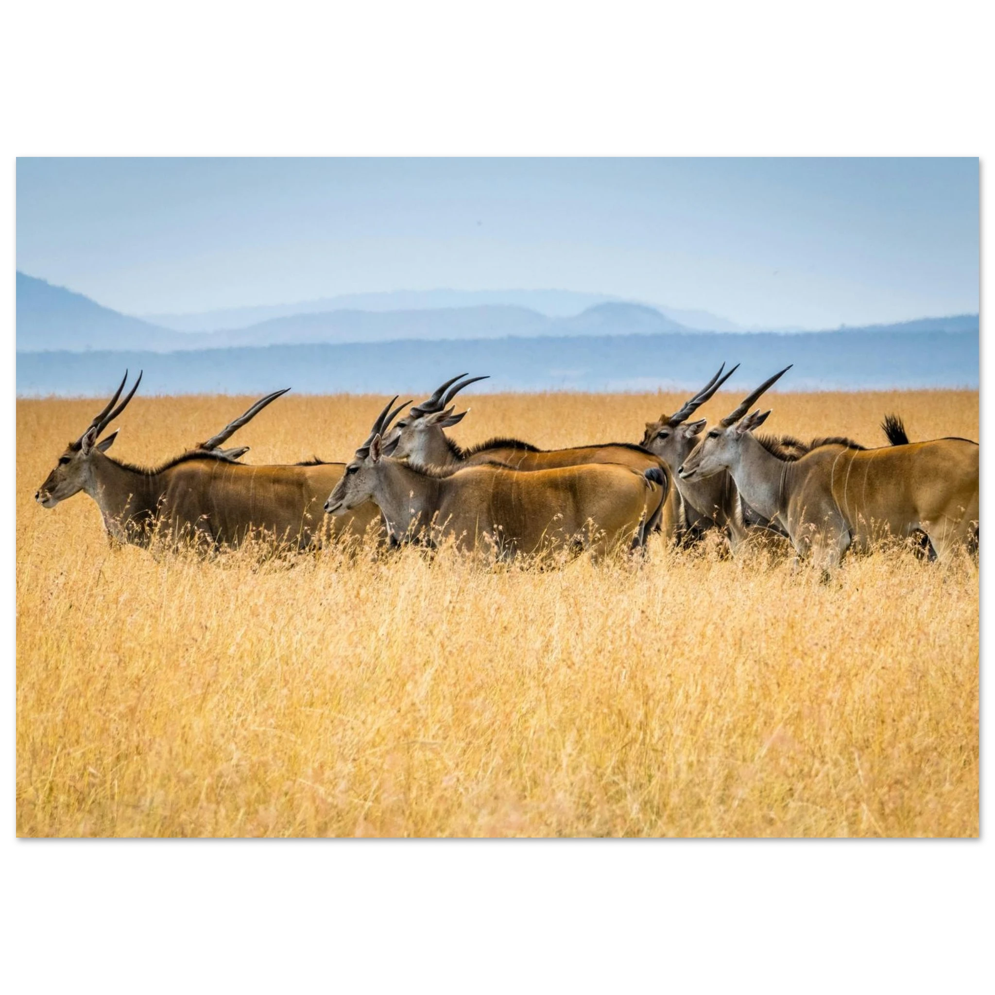 4e7d508c-8f46-4b77-be86-57ba010177b3