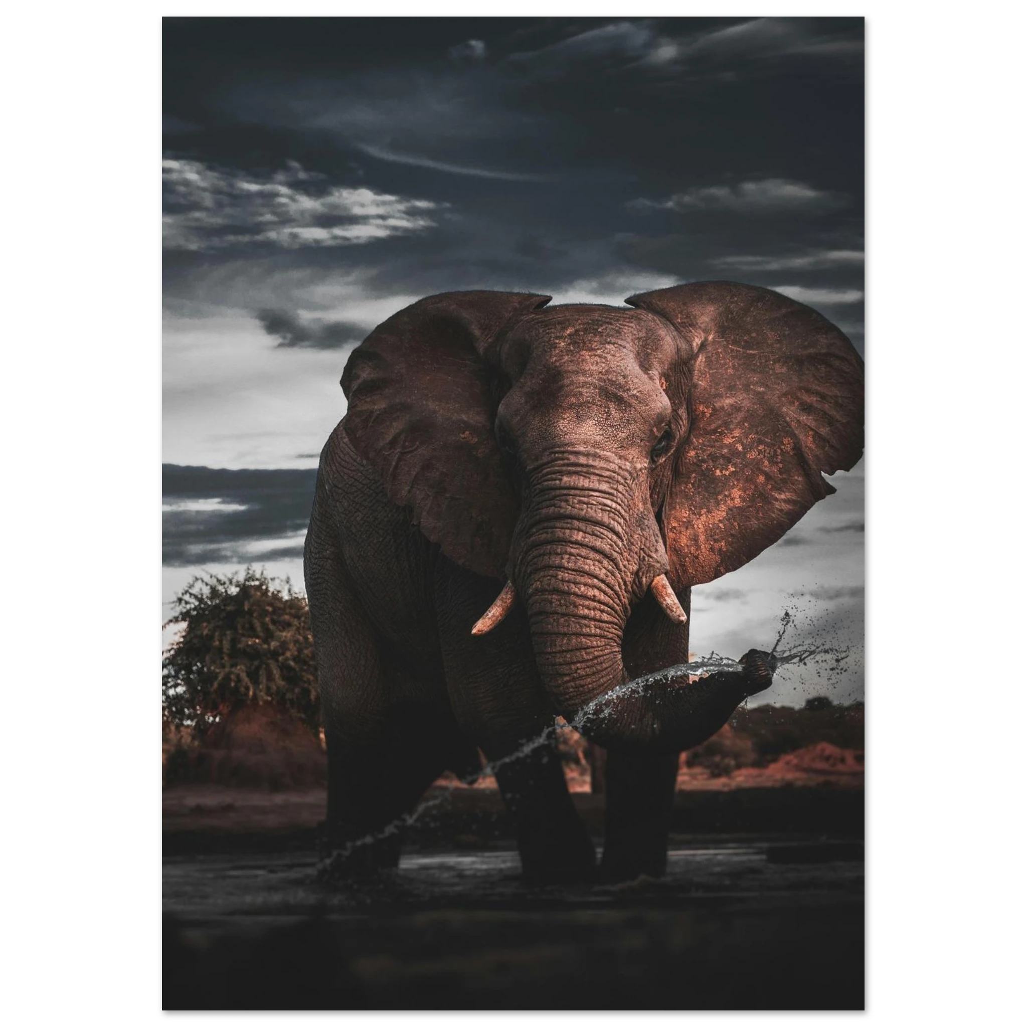 536b7359-3898-4b31-9085-a48e5319a148