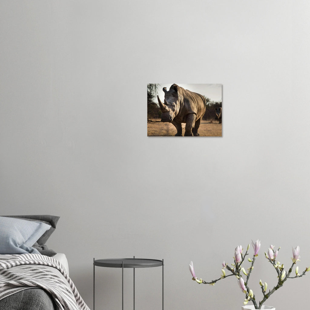 53fbe203-132b-411a-b55b-19dca311c61e