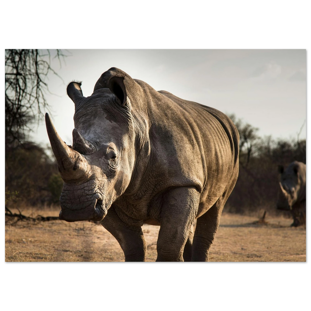 56fe79dc-c0d1-4ceb-bb61-5df88ed7615a