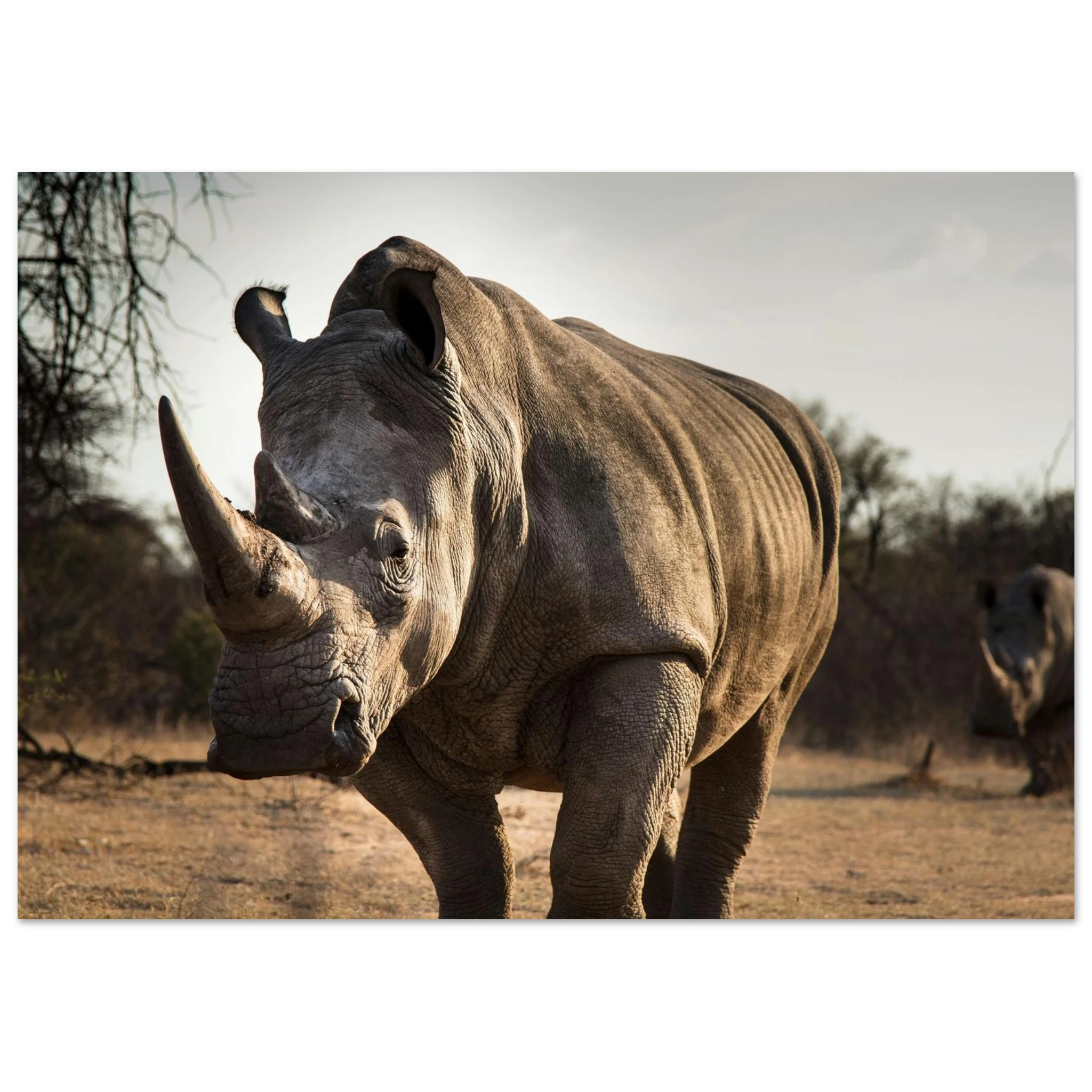 56fe79dc-c0d1-4ceb-bb61-5df88ed7615a