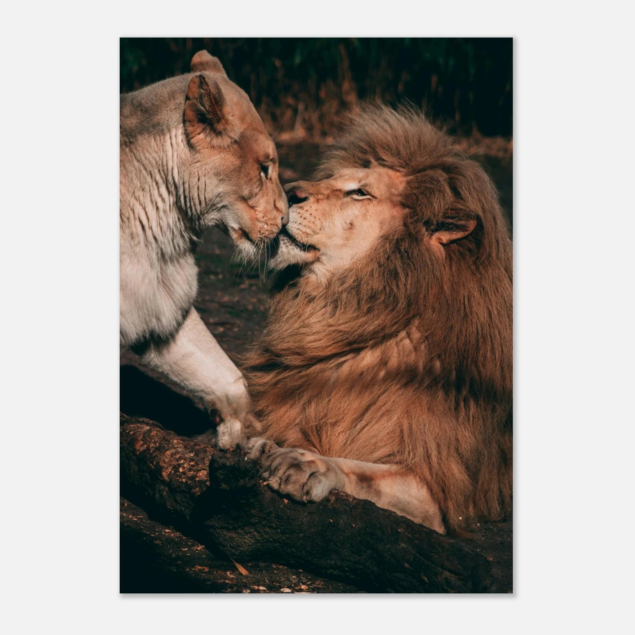 5a85bb94-7169-46f9-81fa-a0399fc5f0bc