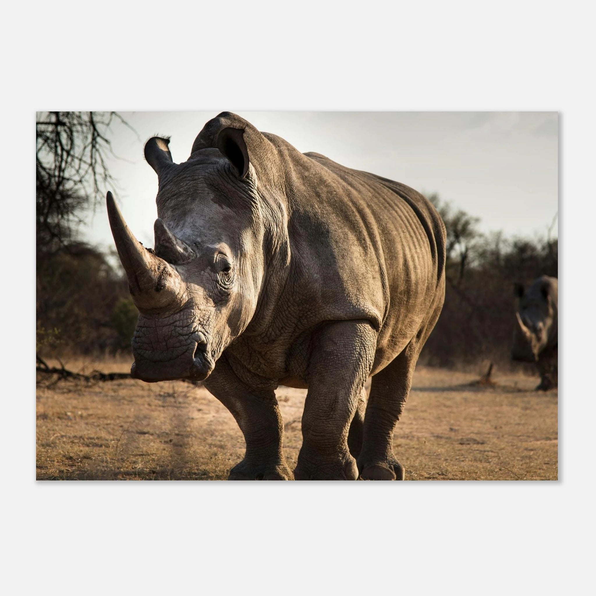 618255b8-3b23-4e1f-94a3-ba0ac2daf384