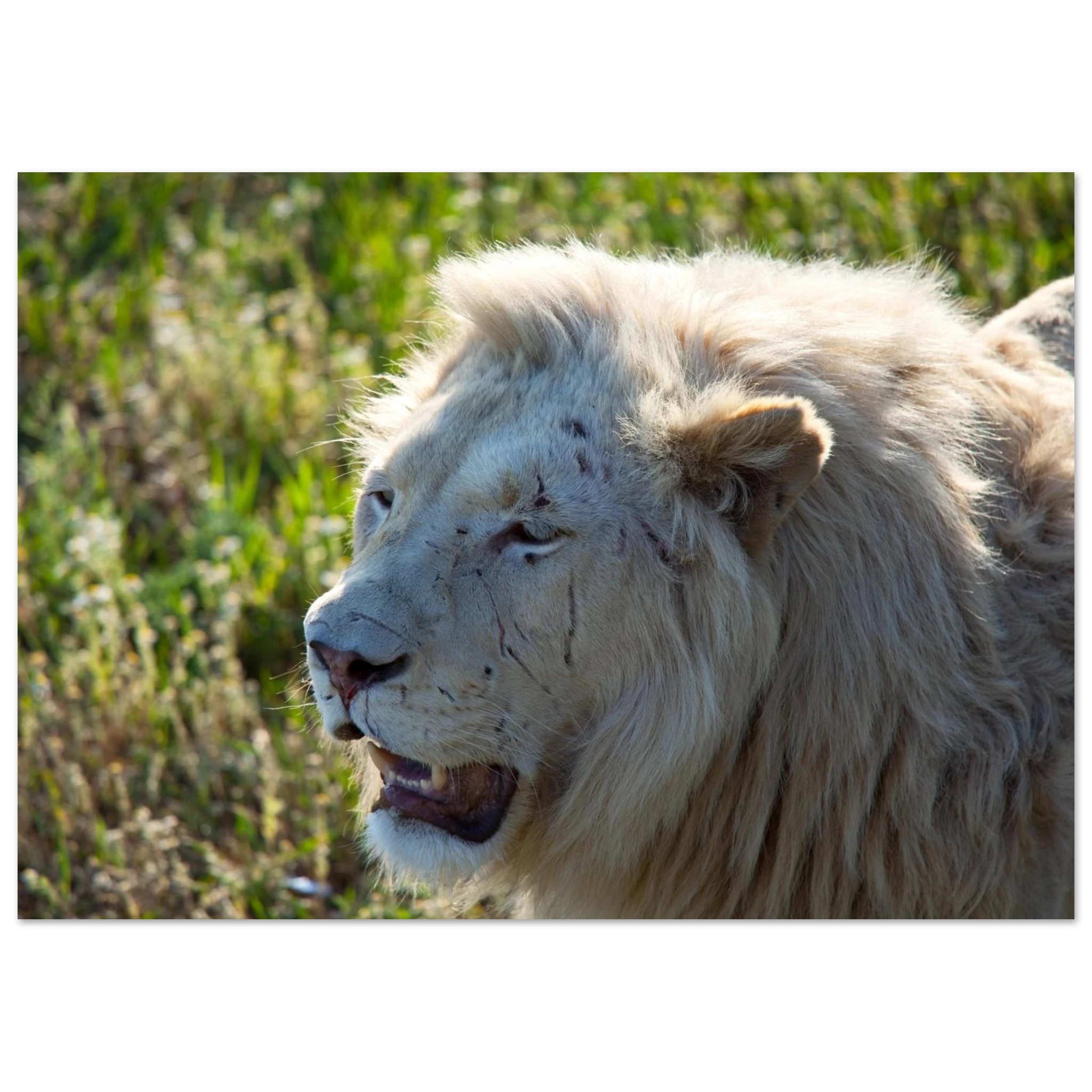 726ff302-3e68-4b80-ac1a-e30ea7f2ddb4