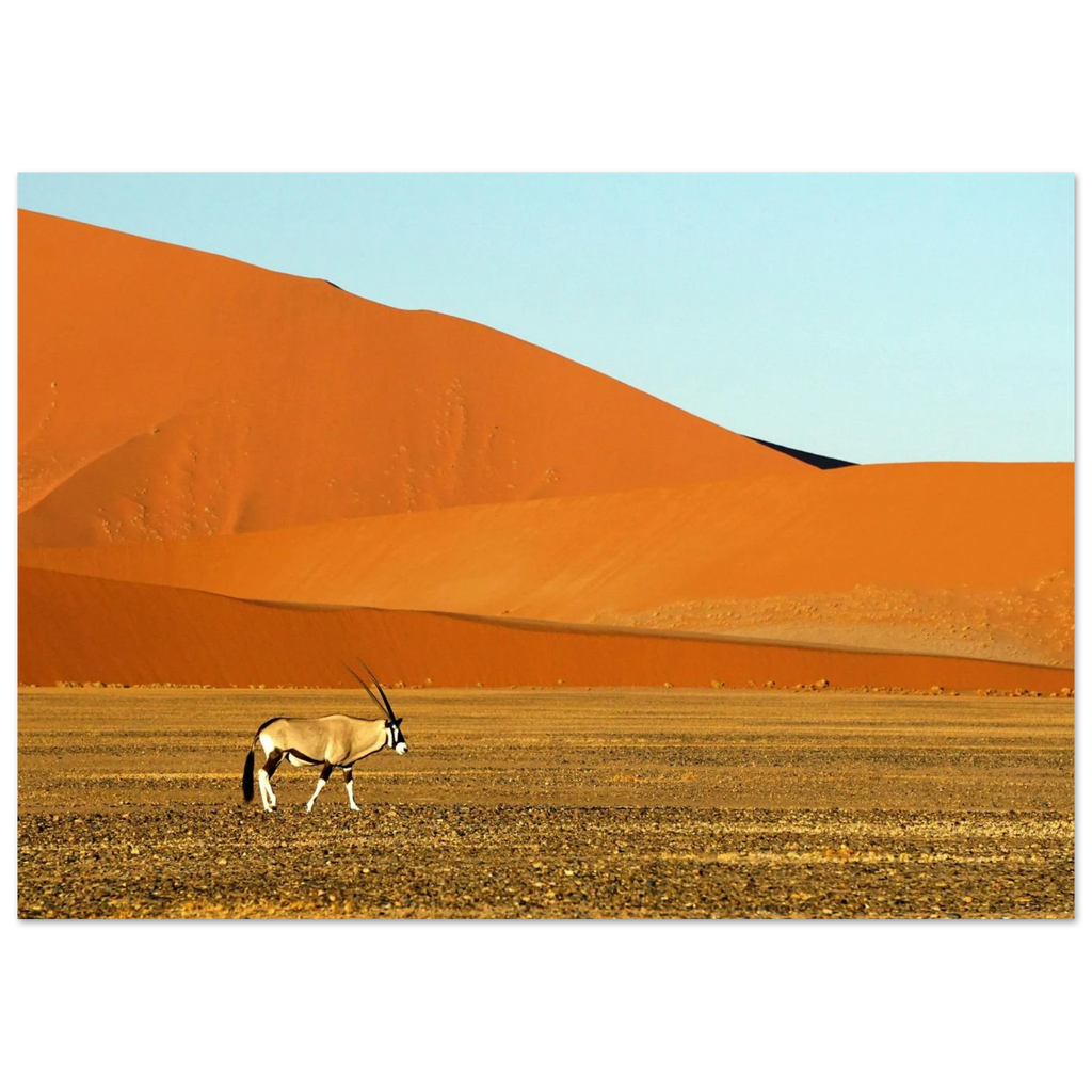 74f2e4e9-122b-4ebb-a462-19b0a7d46a46