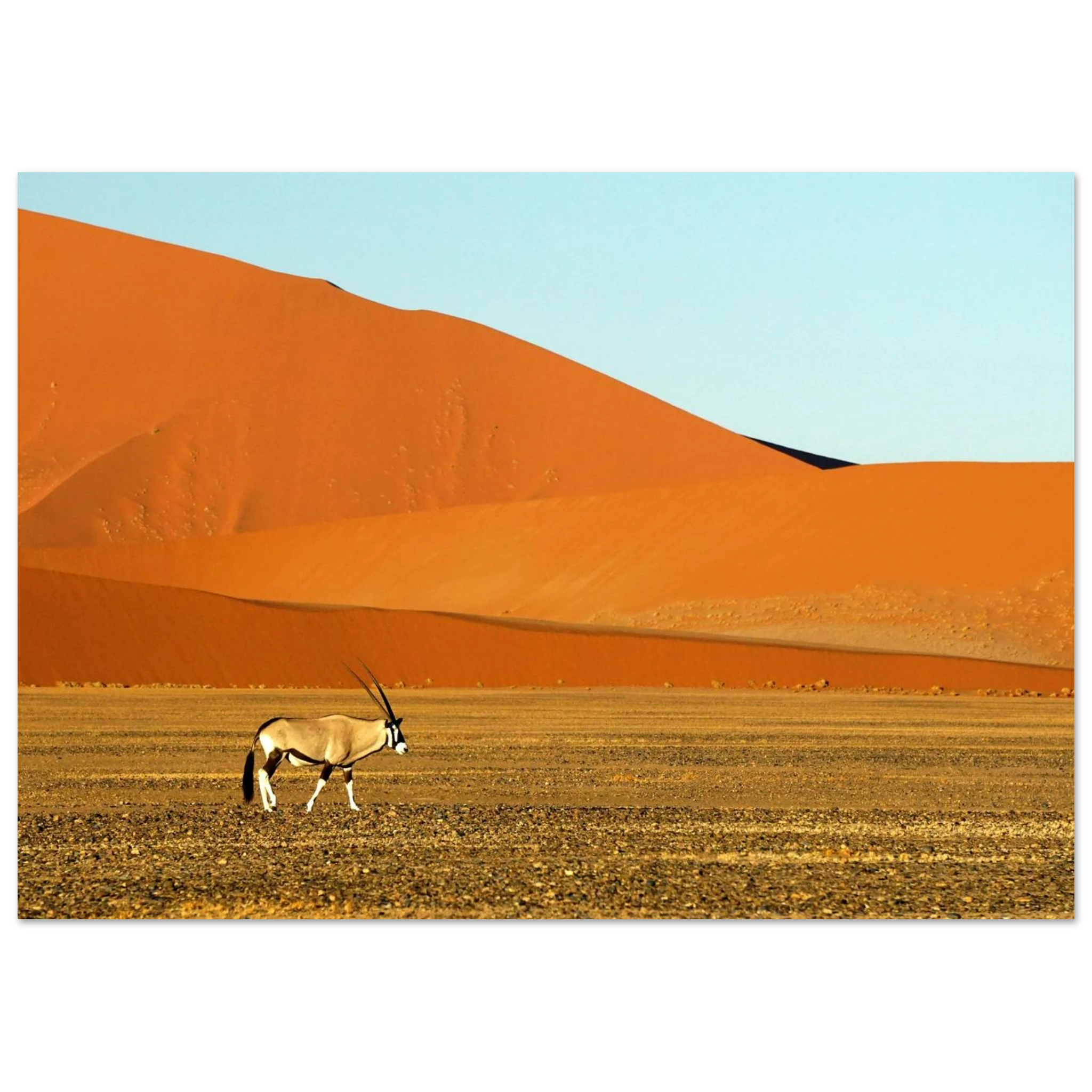 74f2e4e9-122b-4ebb-a462-19b0a7d46a46