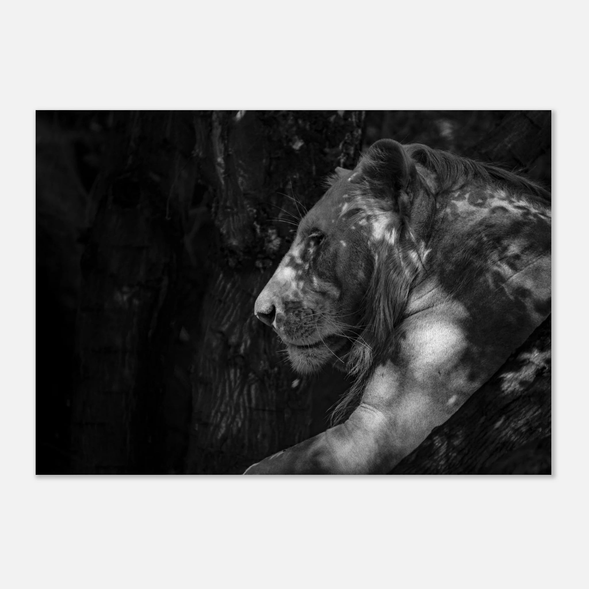 7518c567-d41b-4404-a7c8-e497cad82075