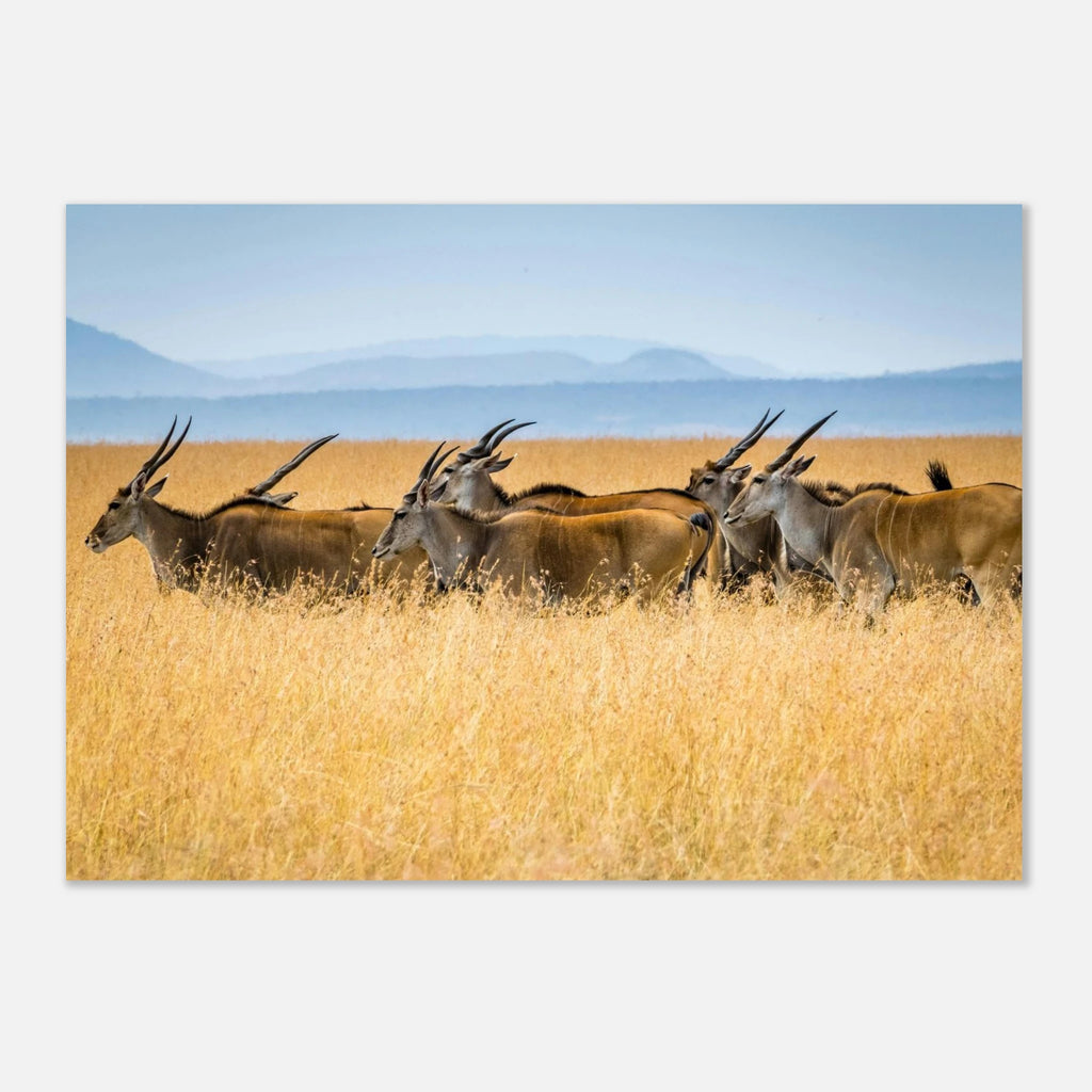 79a8ec94-b8a7-4219-8bb5-e163d8baf52d