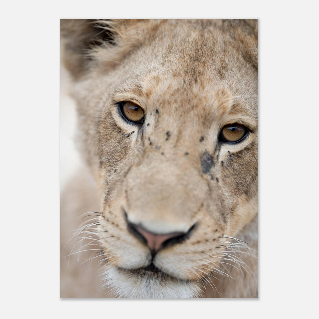 7a45cea9-18c1-4c1f-8696-0efe62c4d23b