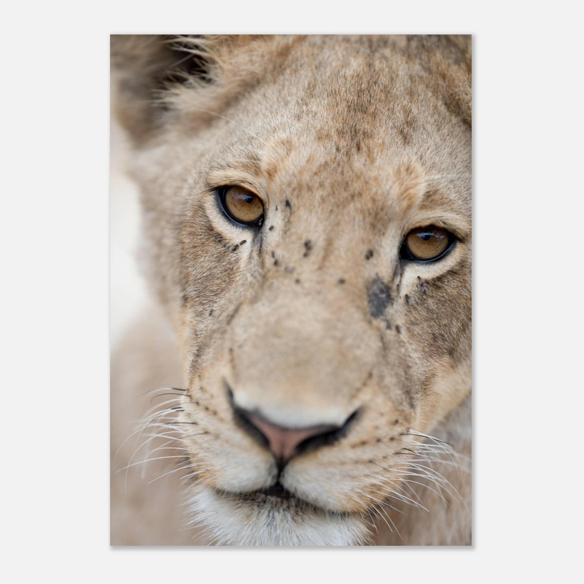 7a45cea9-18c1-4c1f-8696-0efe62c4d23b