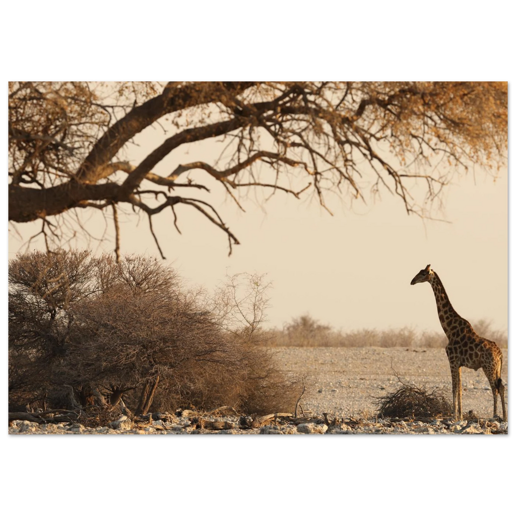 7bd9f8d5-6704-4e5c-8622-d1e76a77f4c7