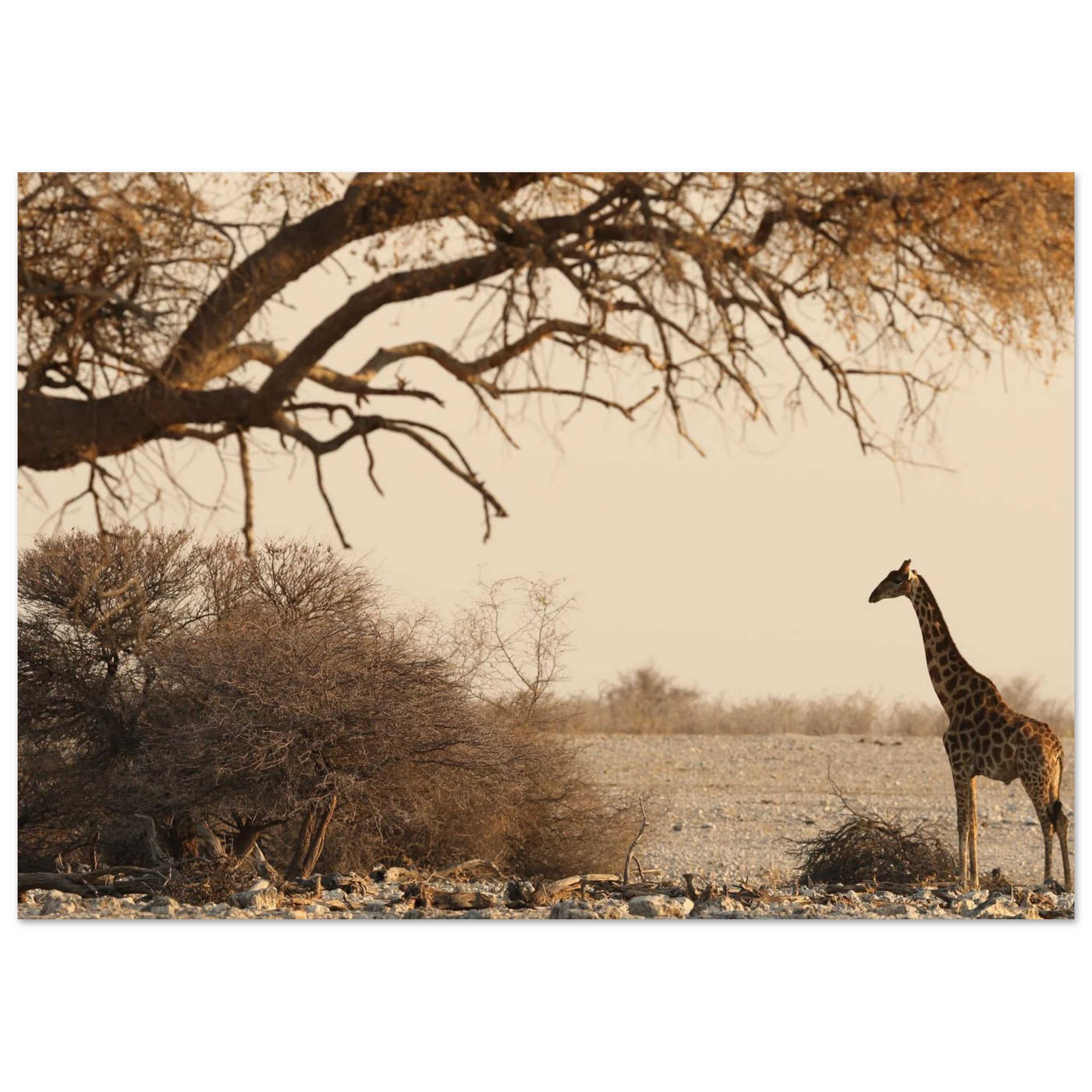 7bd9f8d5-6704-4e5c-8622-d1e76a77f4c7