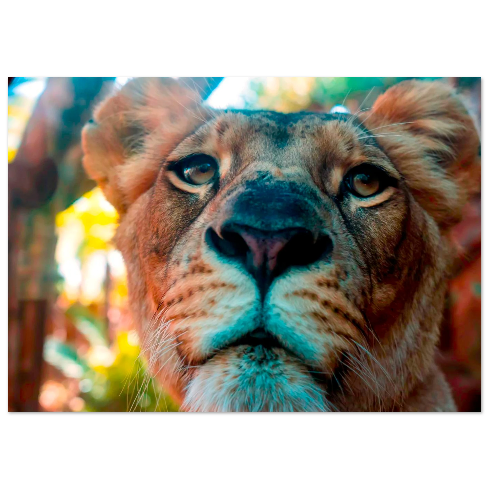 7e977f71-e5f7-46a6-877b-761e3d666dd7