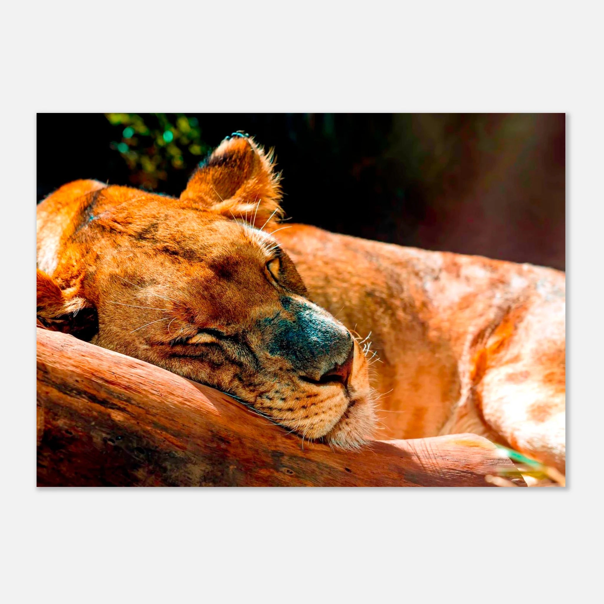 7ee48dd3-a151-4dd4-be5b-893f4cc5b592