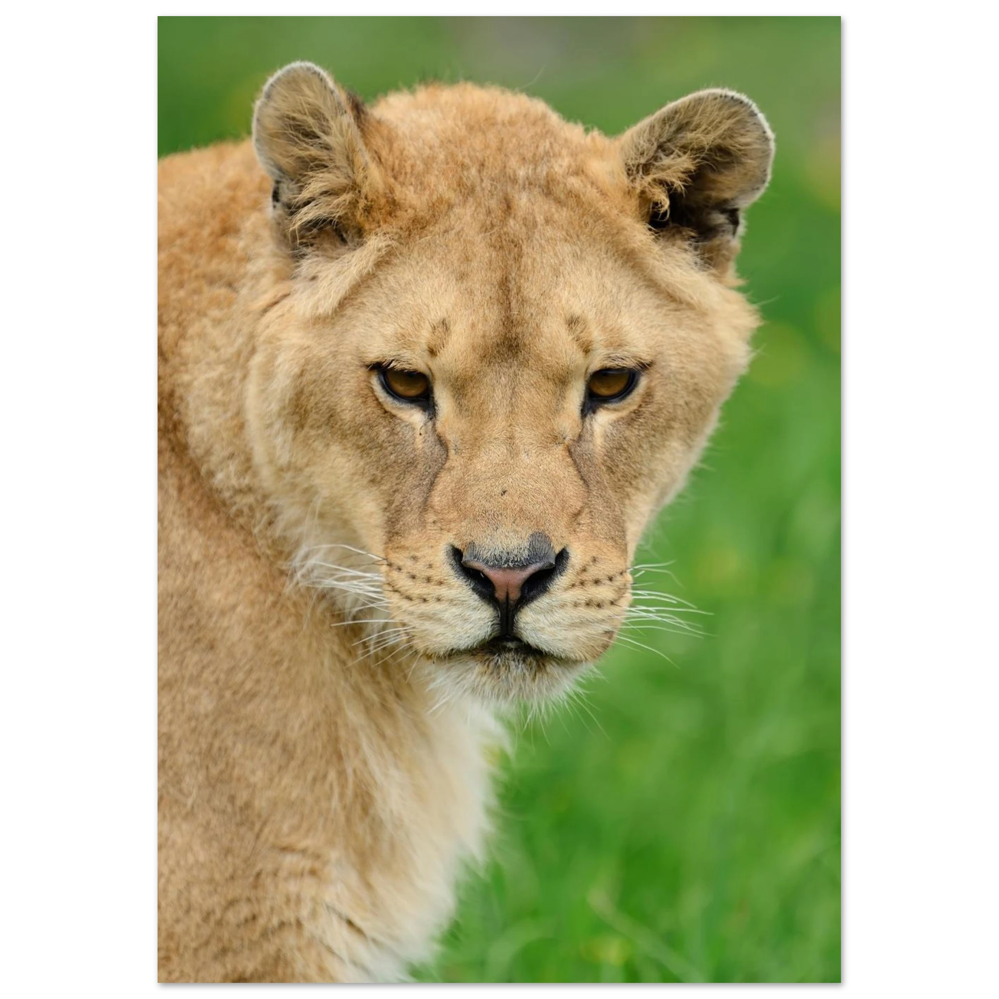 814bab18-070c-4faf-8b0a-b7b4cfa5dd75