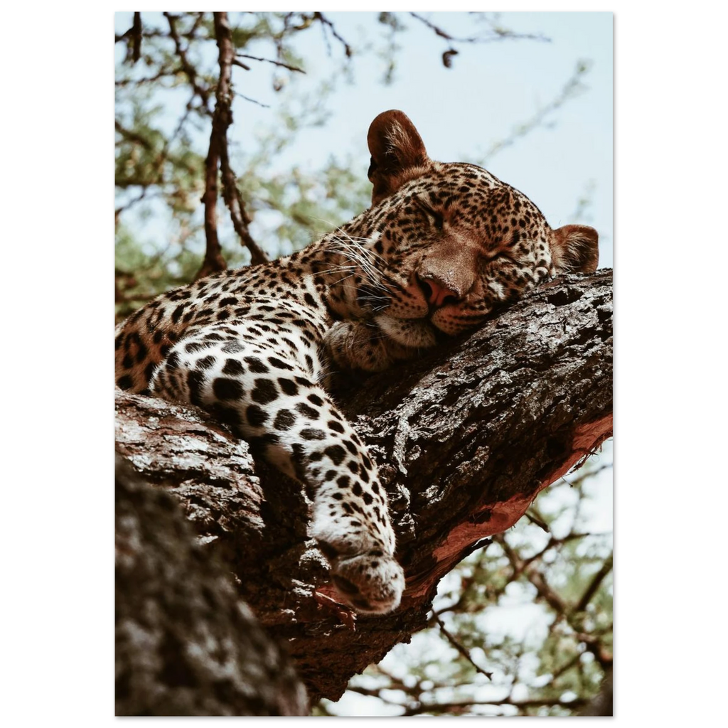 83588729-034b-4736-ae9d-8991dc570467