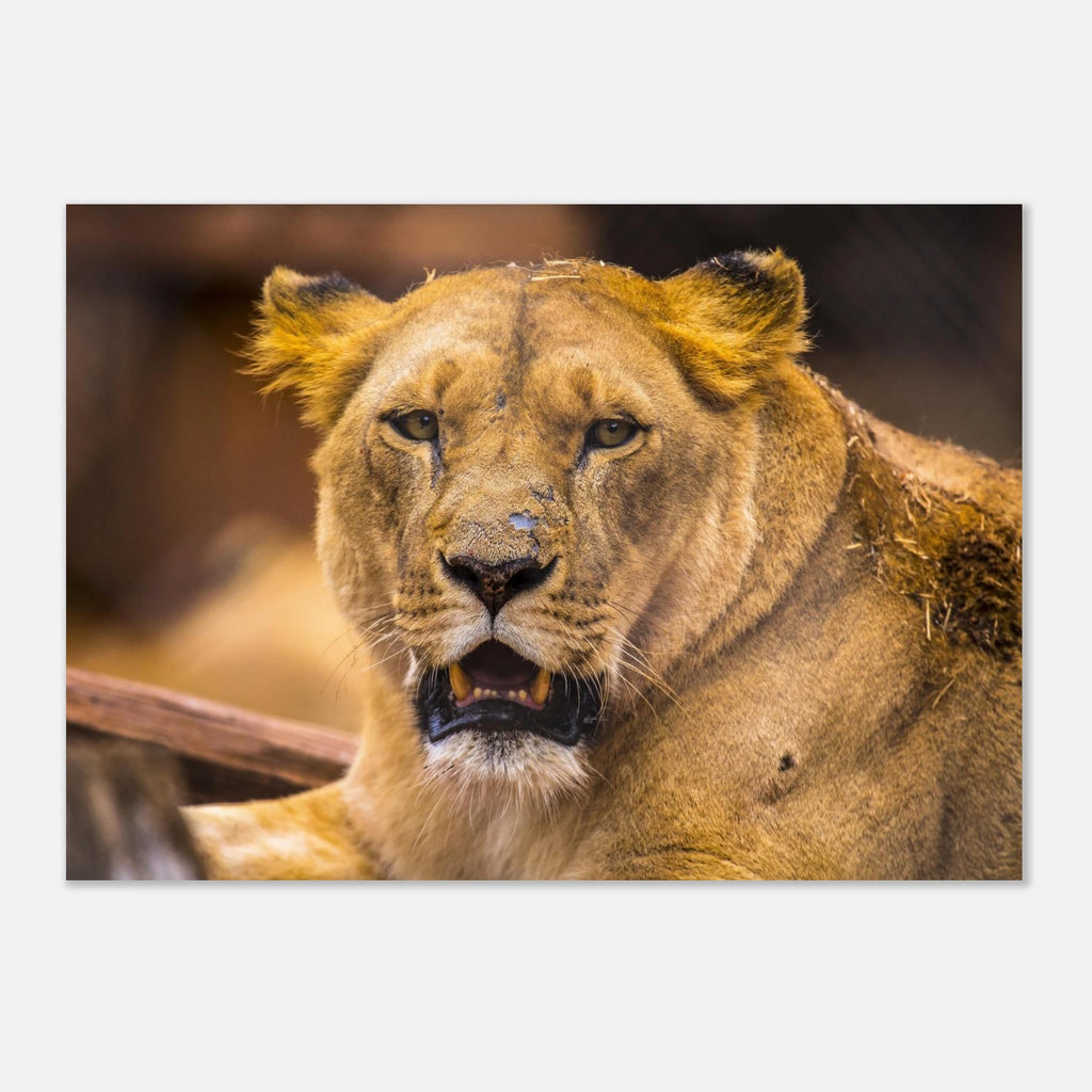 83a4f594-f548-44ce-b75b-7fc33a611bb2