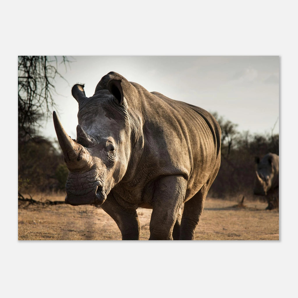 84f17ca5-bcdb-4b90-be32-2af1f2f148e1