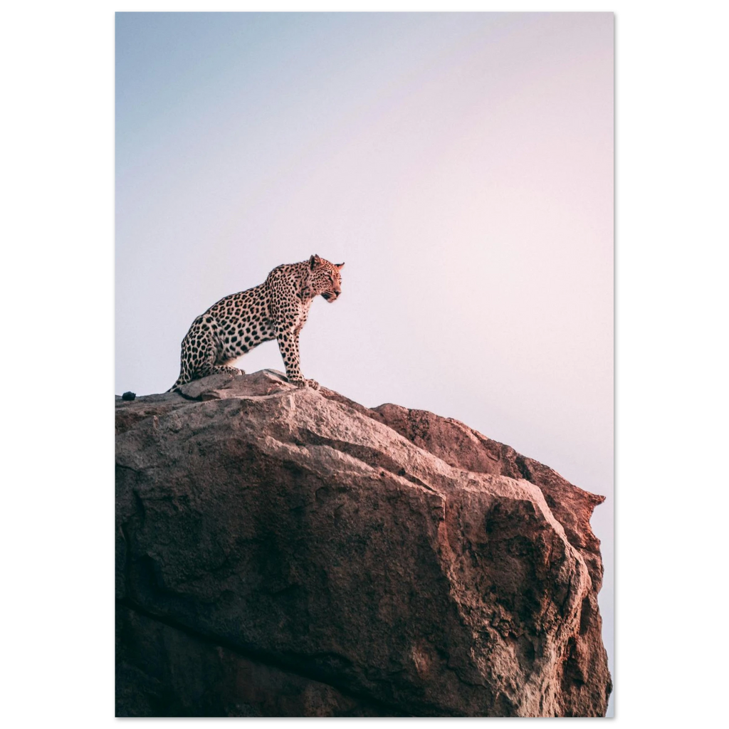 85ad490c-47d2-4abb-9c0b-f439e28c791f